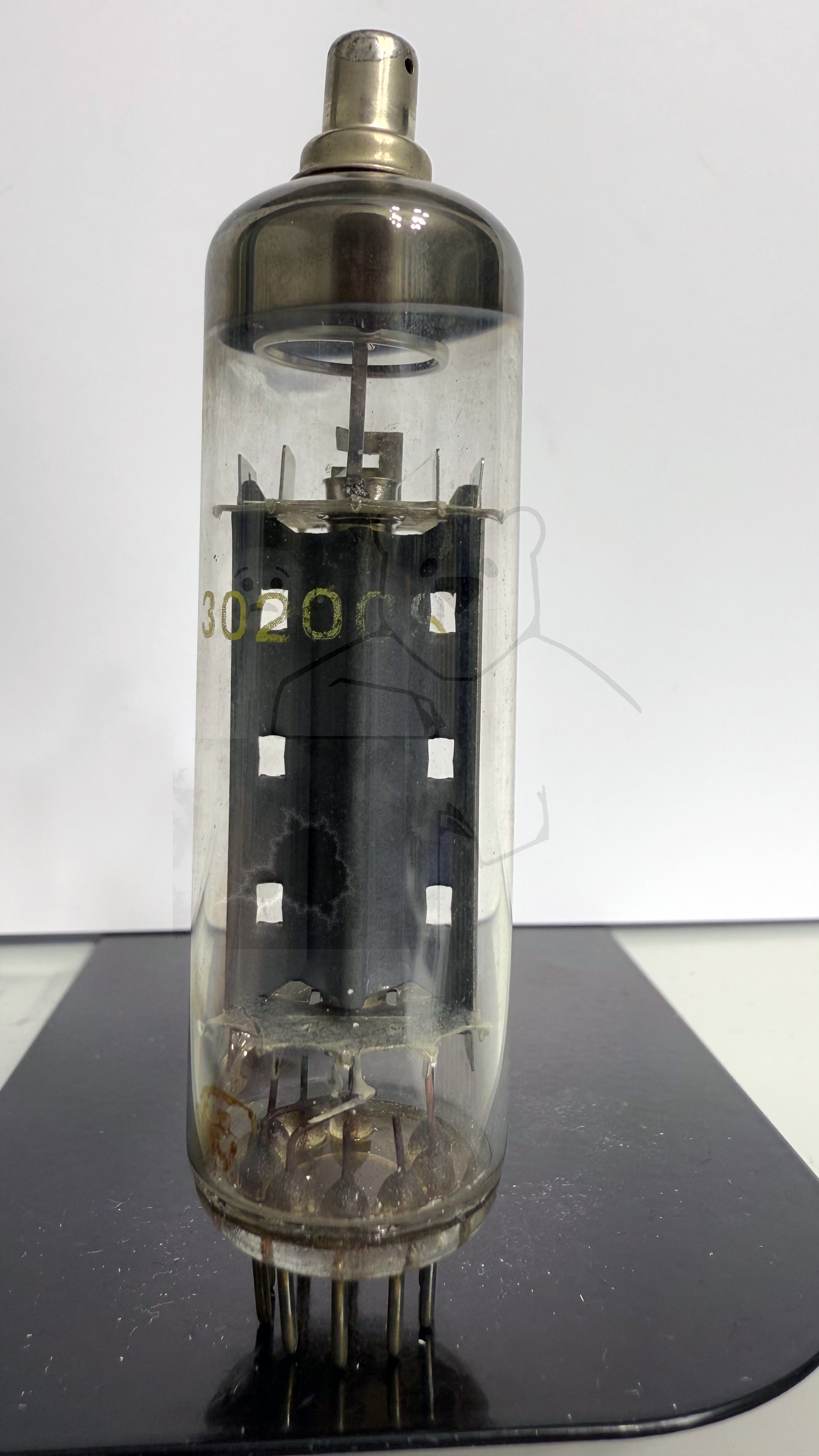 Röhre PY88 #4880 Bild 3