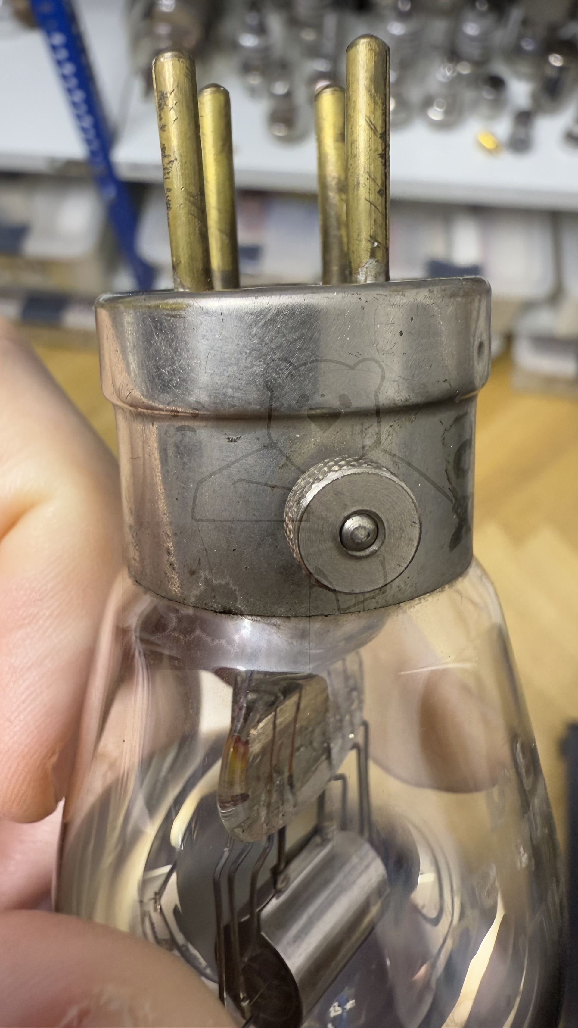 Röhre Philips B vi #8419 Bild 11