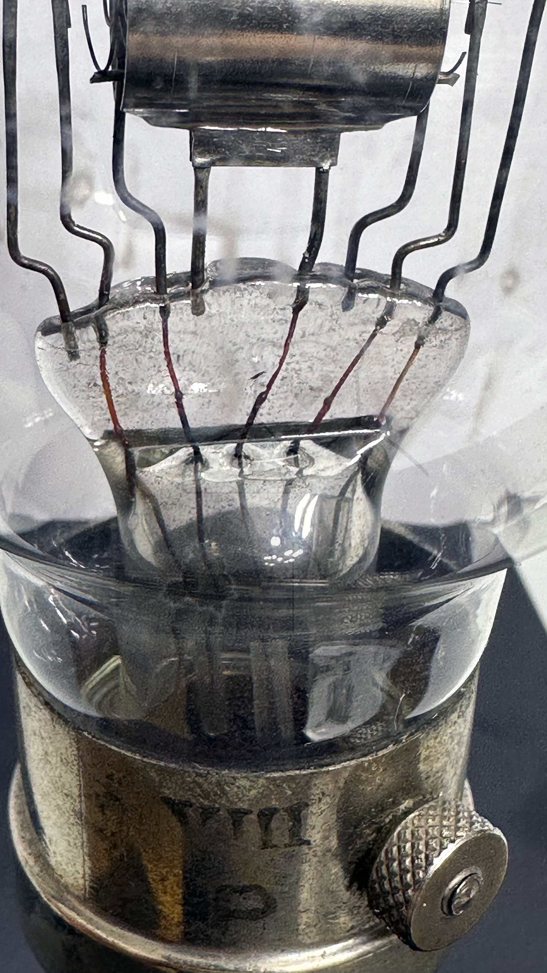 Röhre Philips D vi #7779 Bild 3