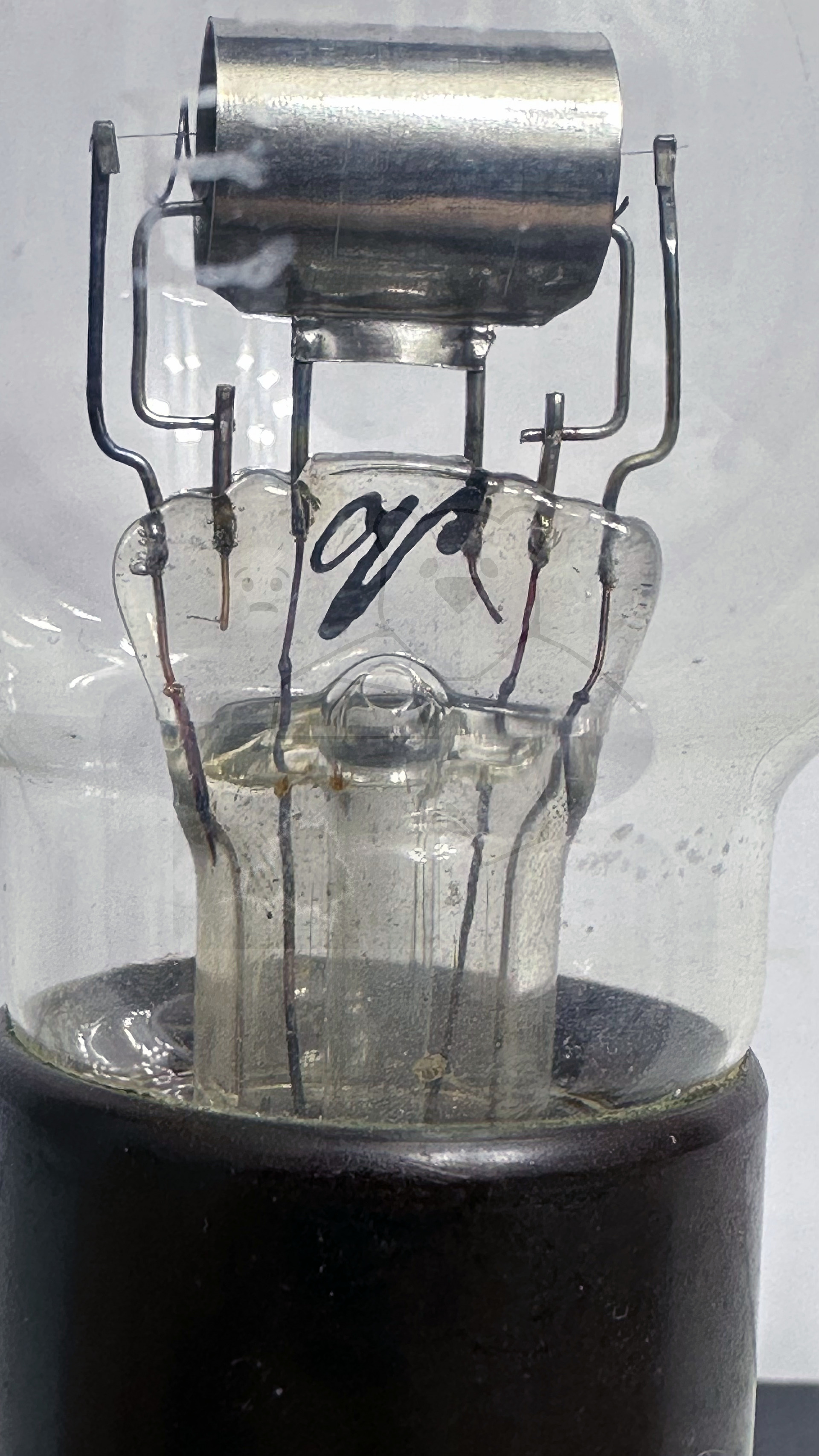 Röhre Philips E #6462 Bild 2