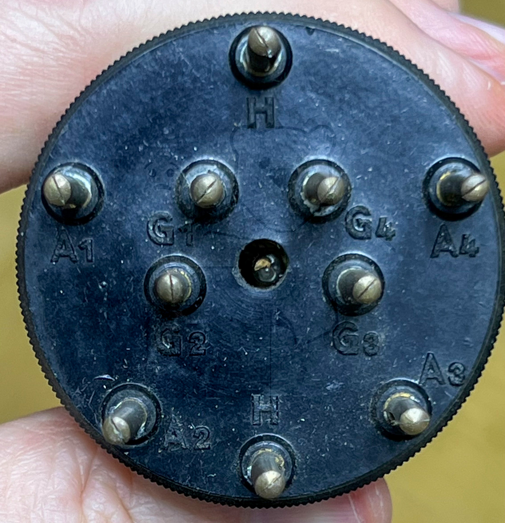 Röhre Polytron, 4-fach #5262 Bild 4