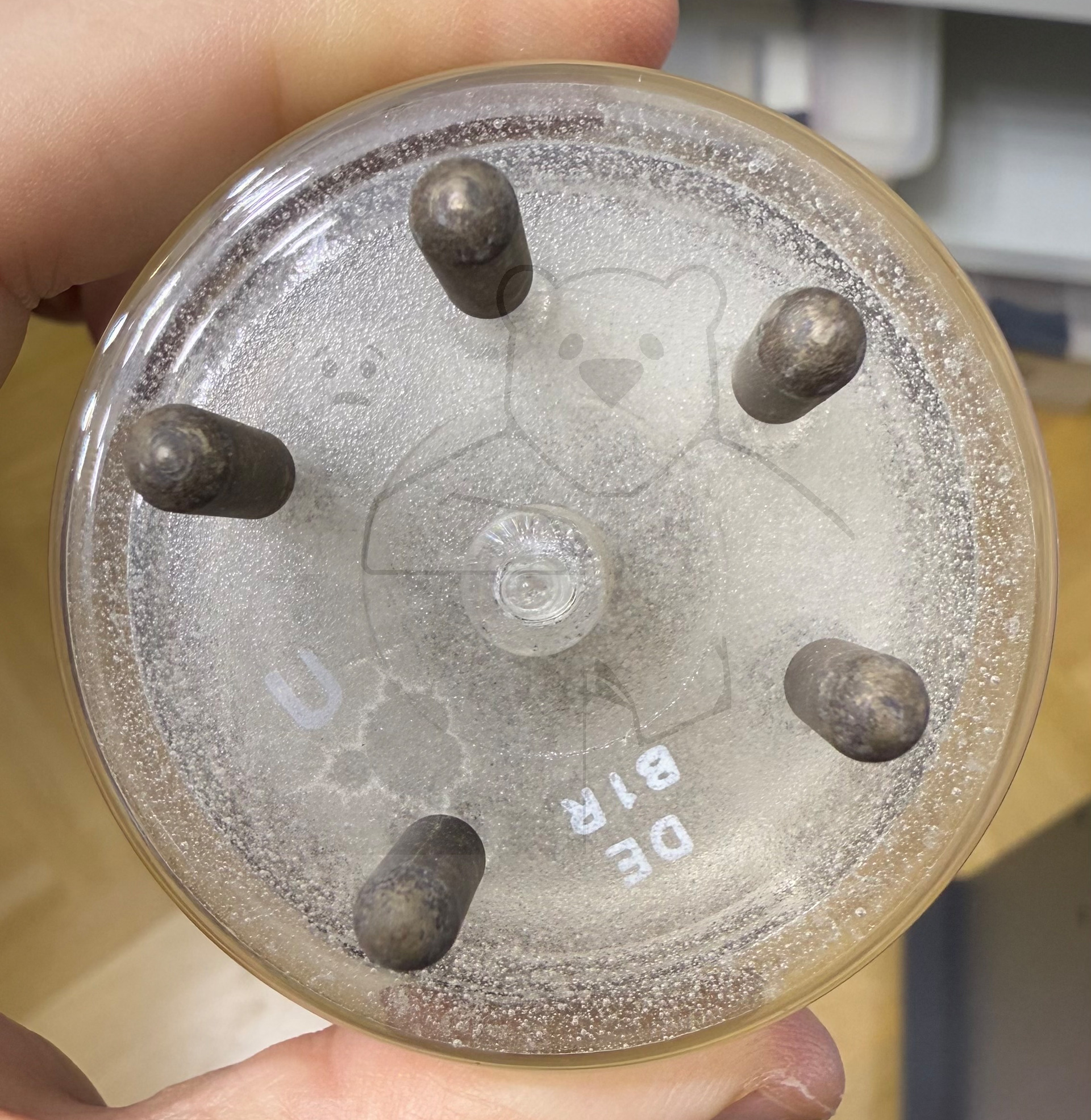 Röhre QB3-300 #0089 Bild 20