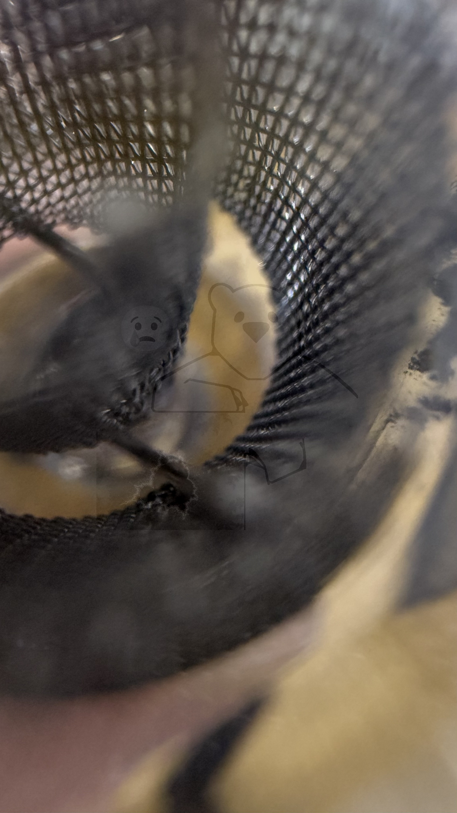 Röhre R320-20 #7257 Bild 6