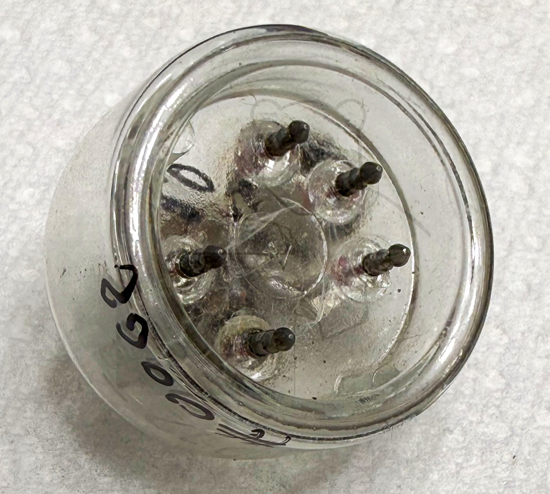 Röhre RD12Ta #0062 Bild 24