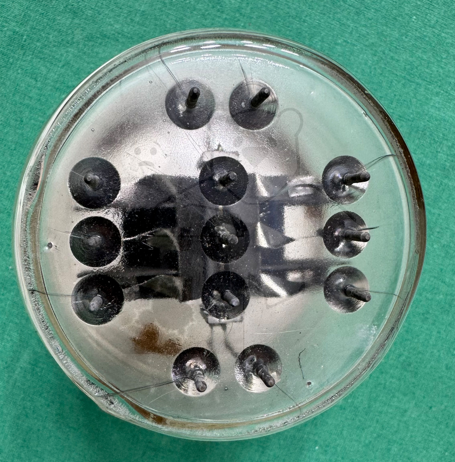 Röhre RD12Tf #6006 Bild 20