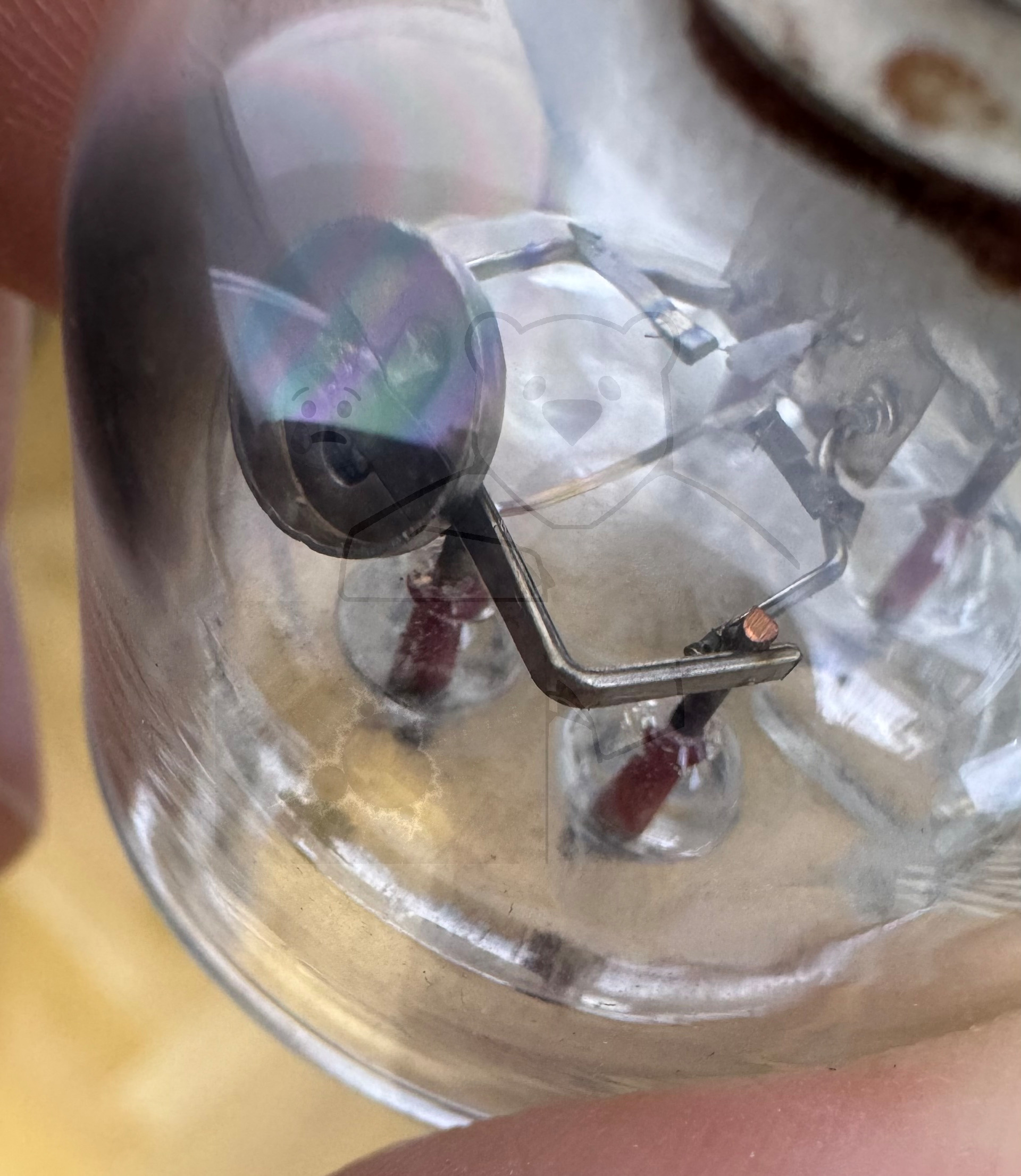 Röhre RD2,4Gc #8166 Bild 13