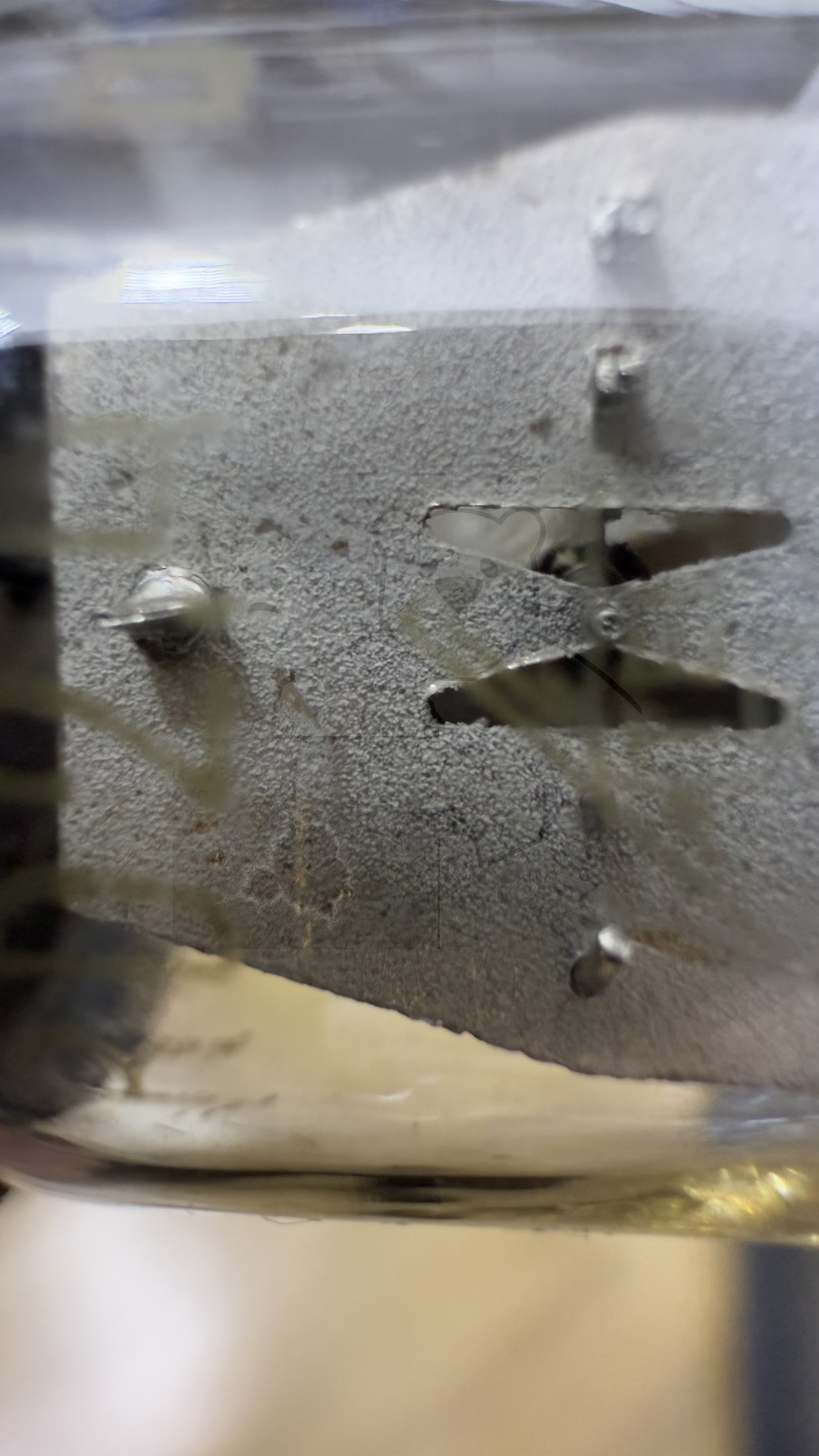 Röhre RD2,4Tb #7795 Bild 8