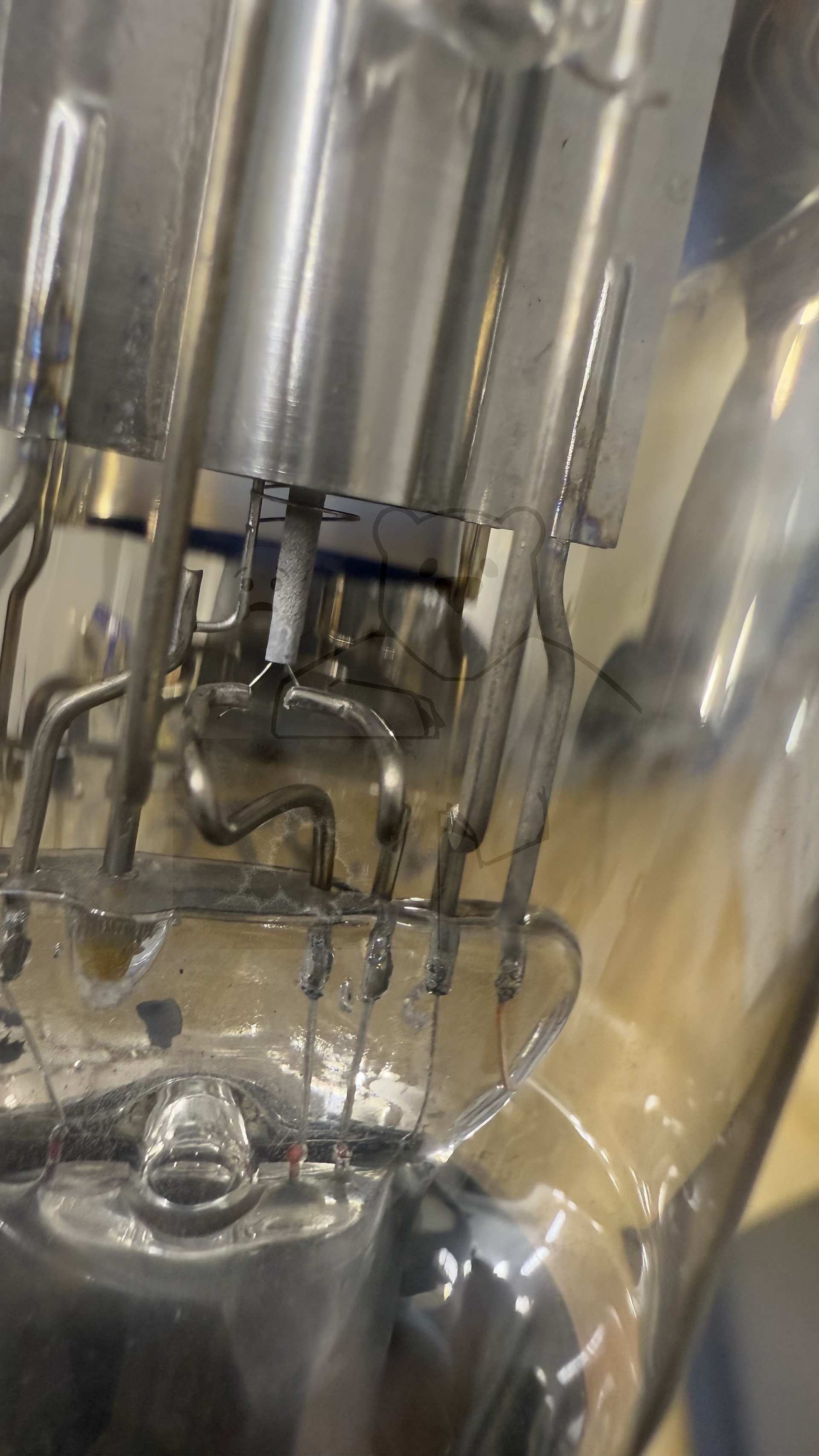 Röhre REN1 #8398 Bild 7