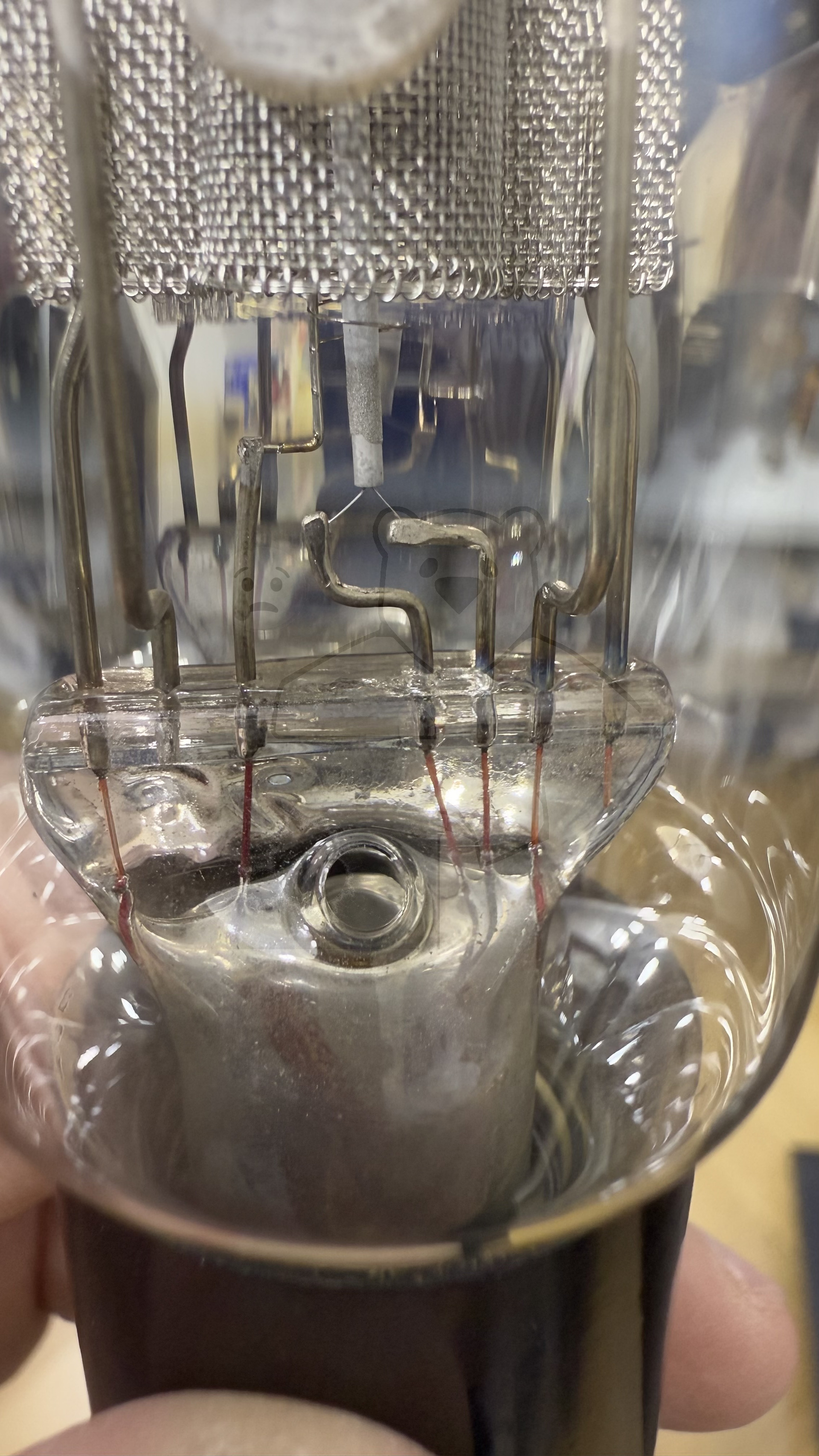 Röhre REN1104 #3893 Bild 10