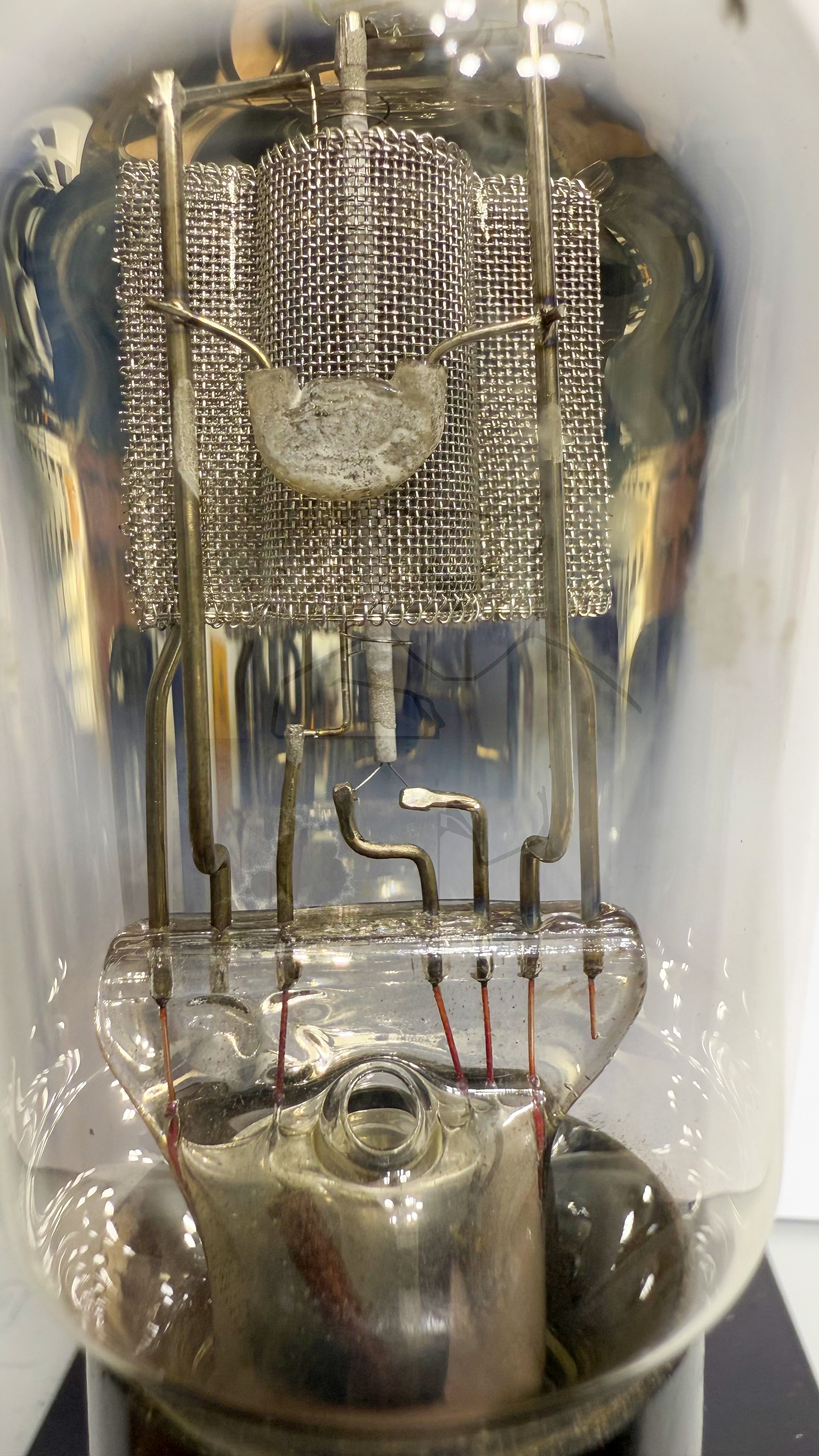 Röhre REN1104 #3893 Bild 2