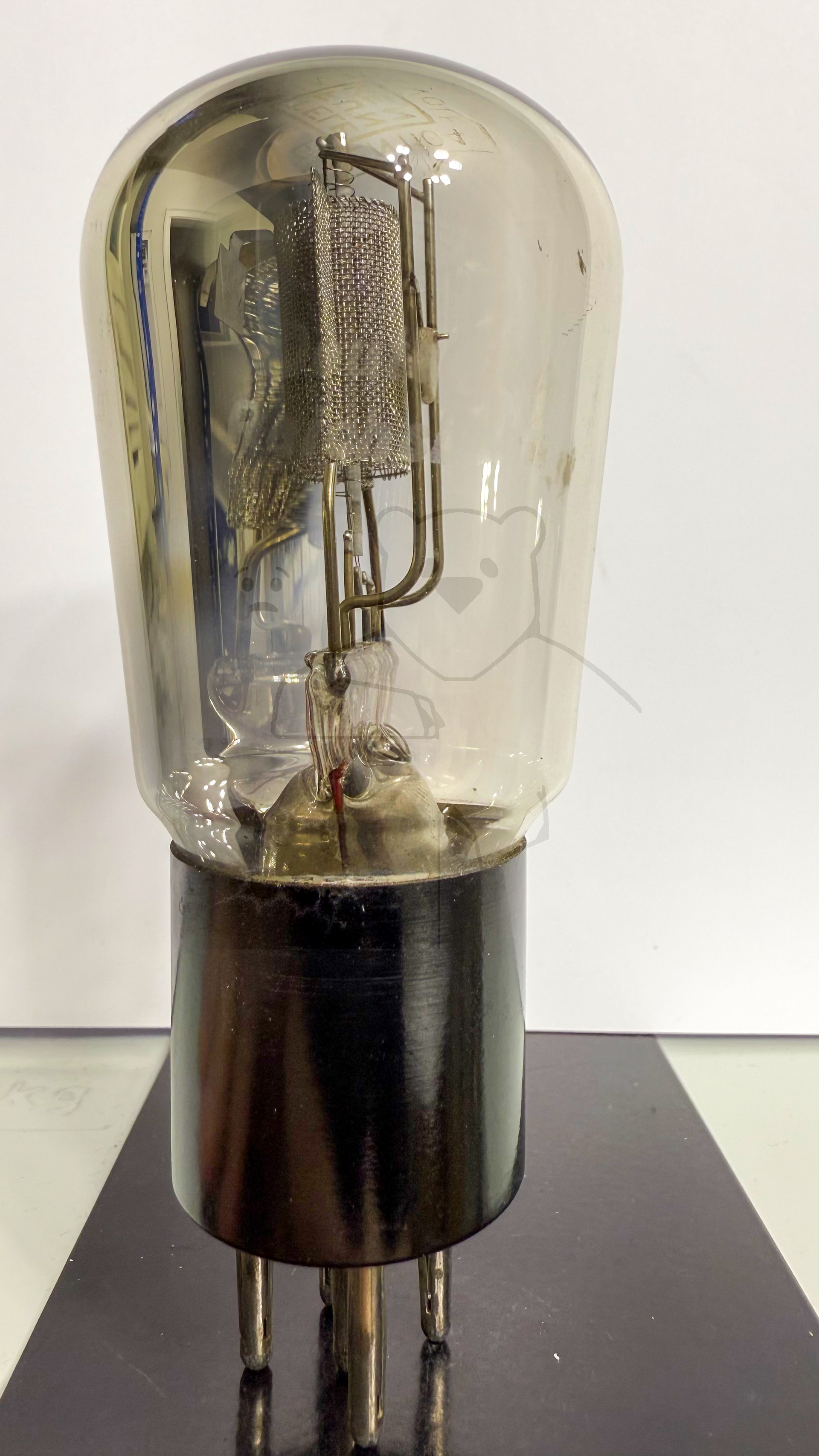 Röhre REN1104 #3893 Bild 5