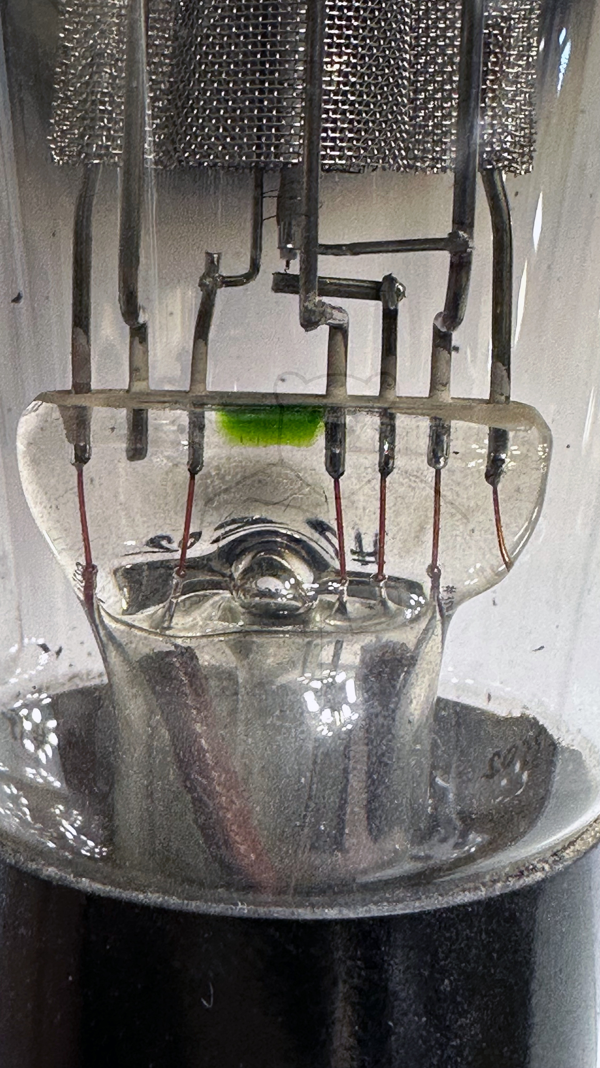 Röhre REN1822 #3502 Bild 4