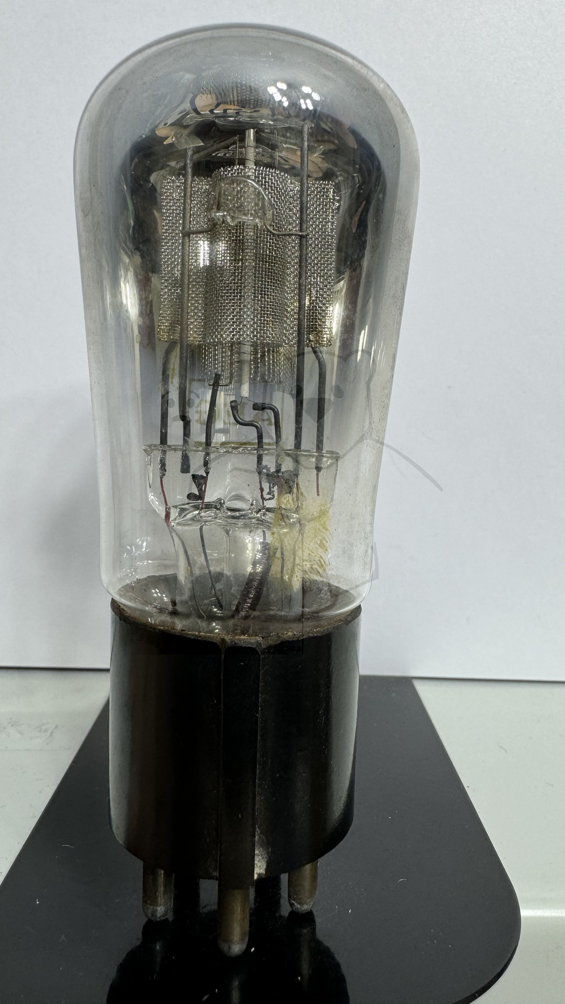 Röhre REN1EW #8422 Bild 1