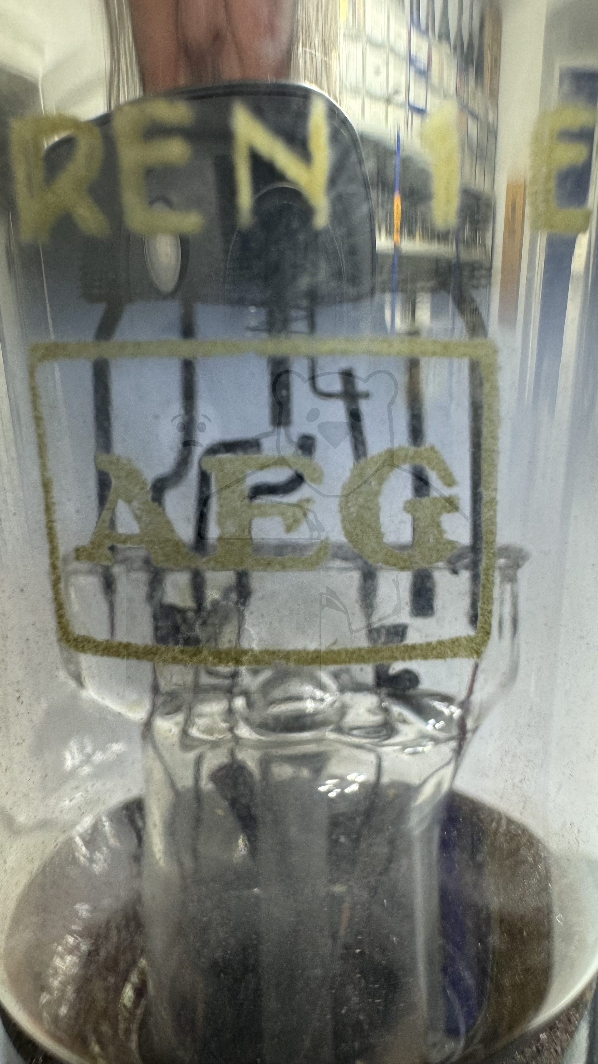 Röhre REN1EW #8422 Bild 11