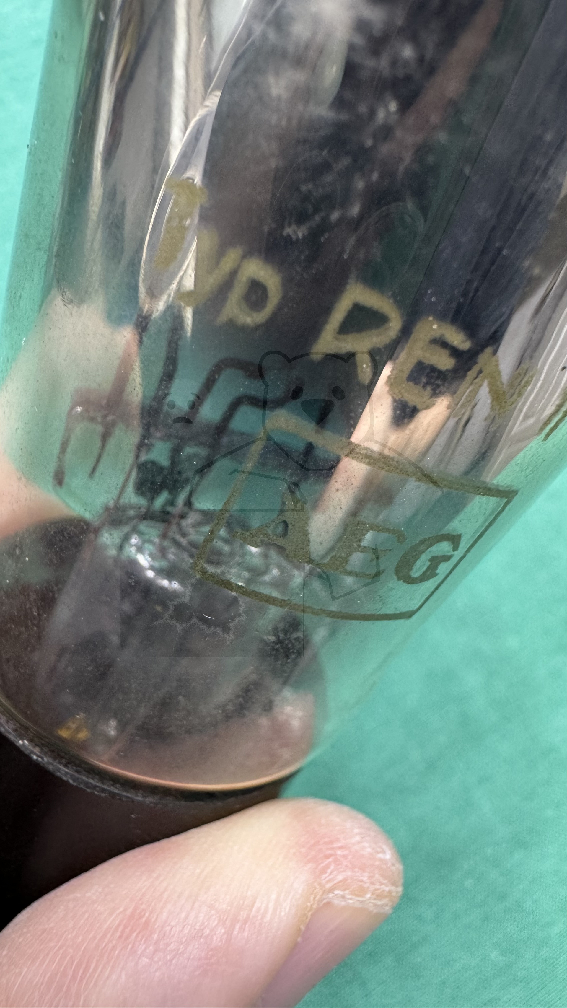 Röhre REN1EW #8422 Bild 12