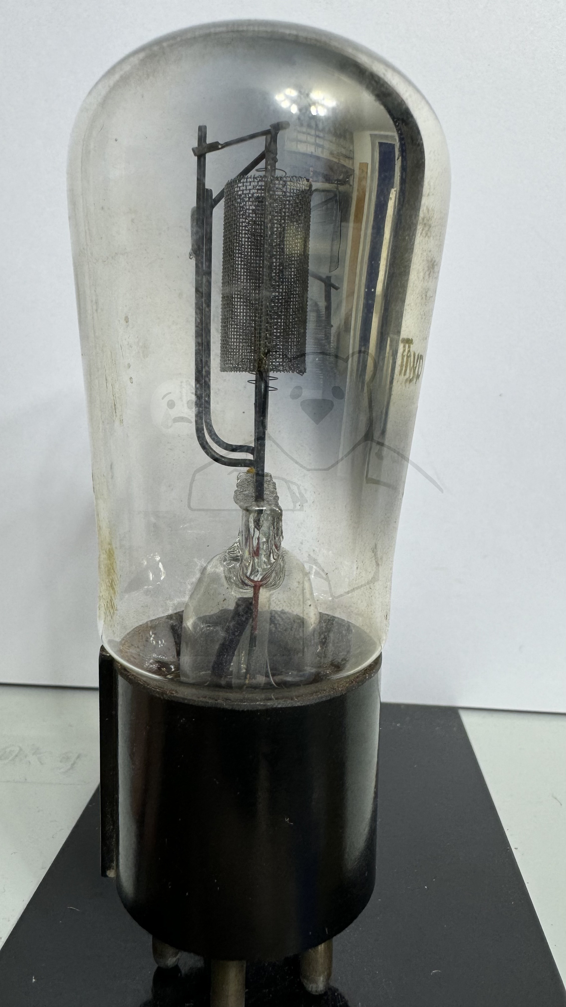 Röhre REN1EW #8422 Bild 2