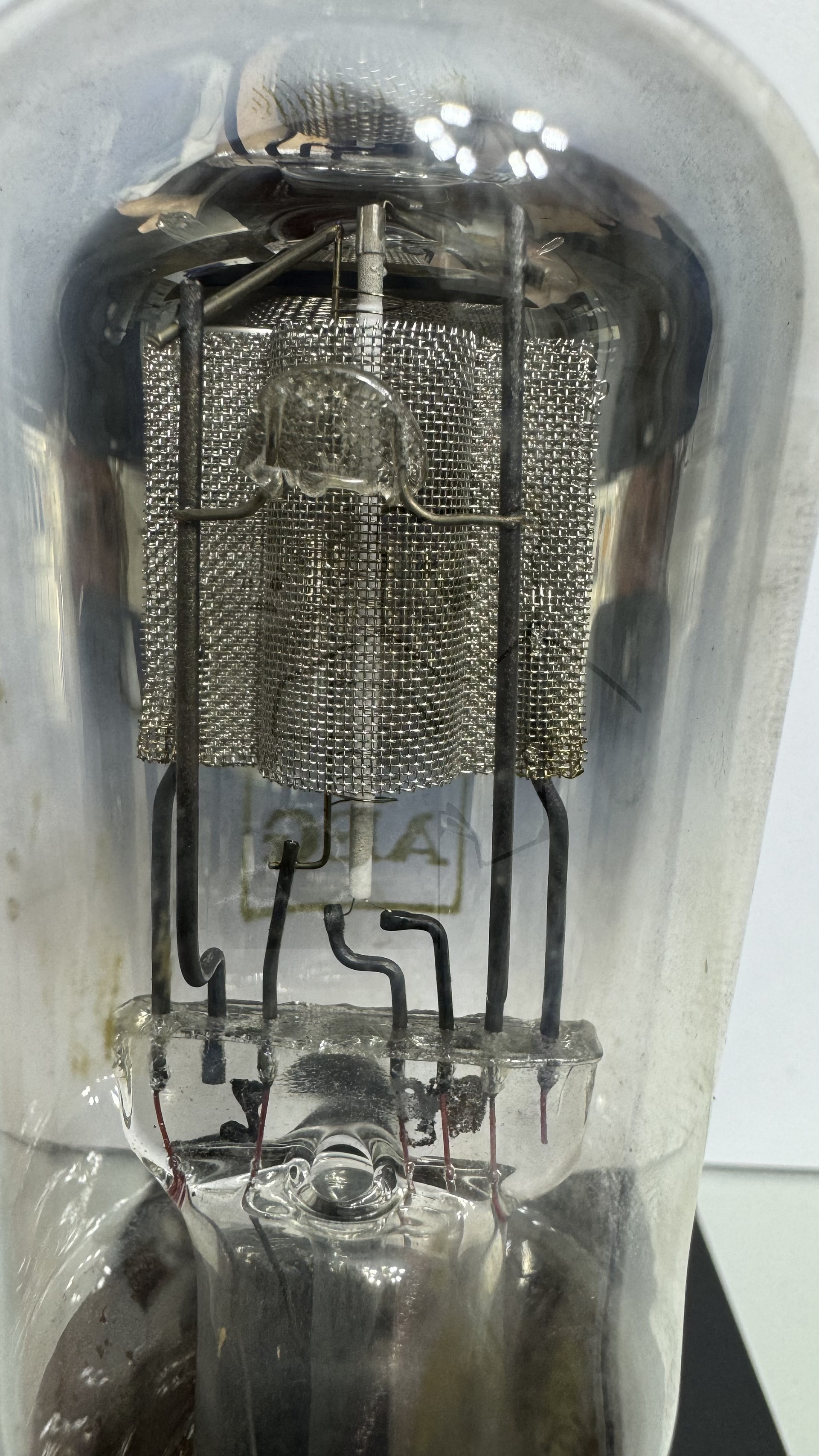 Röhre REN1EW #8422 Bild 3