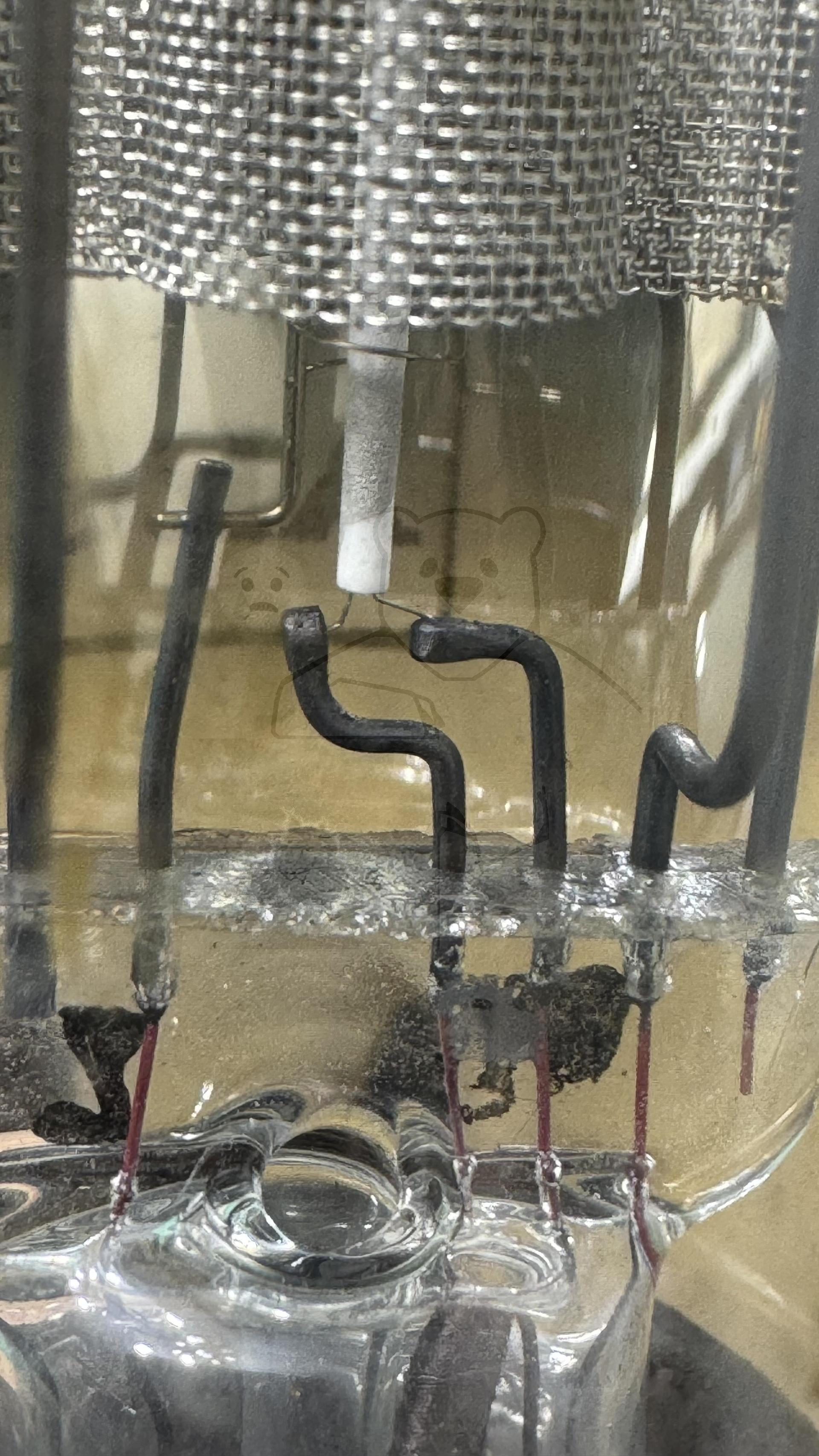 Röhre REN1EW #8422 Bild 6