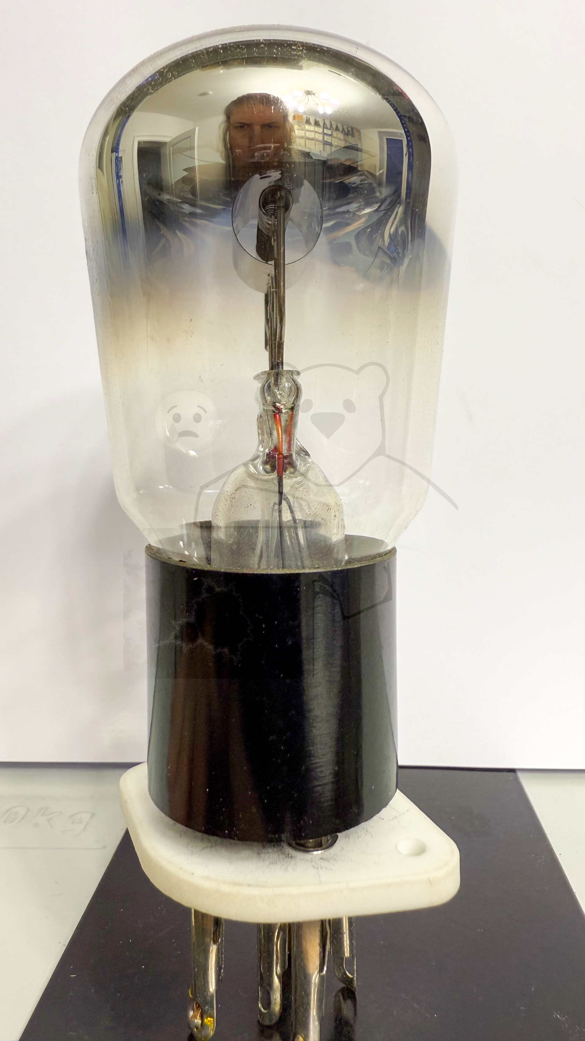 Röhre REN501 #3801 Bild 2