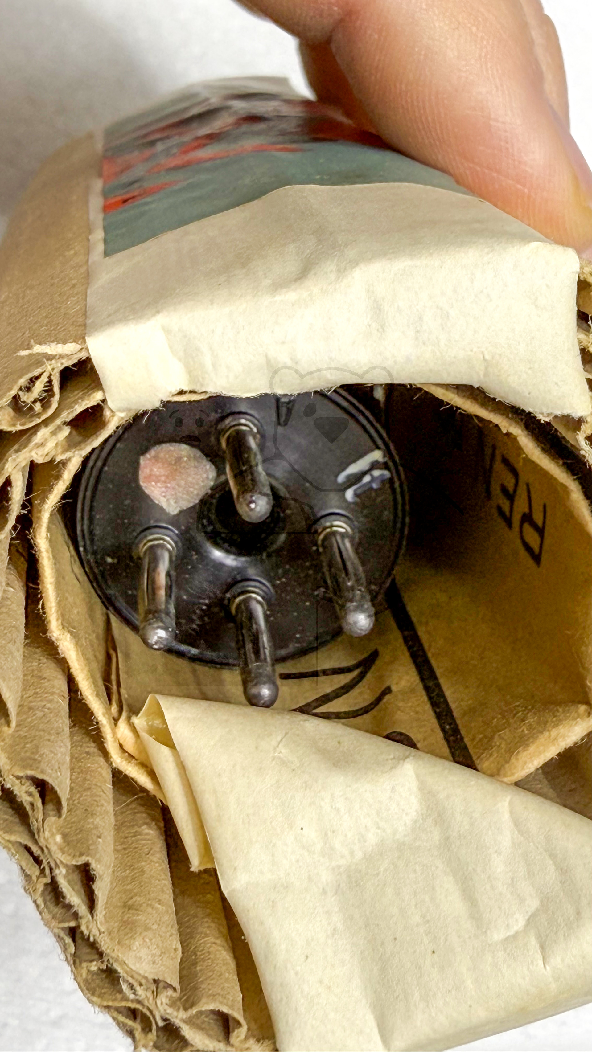 Röhre REN501 #3801 Verpackung Bild 2