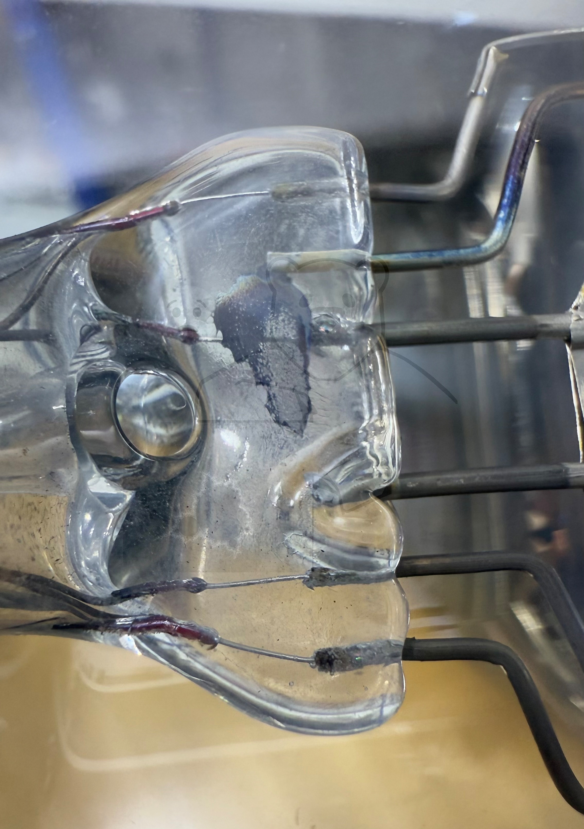 Röhre REN511 #0100 Bild 9