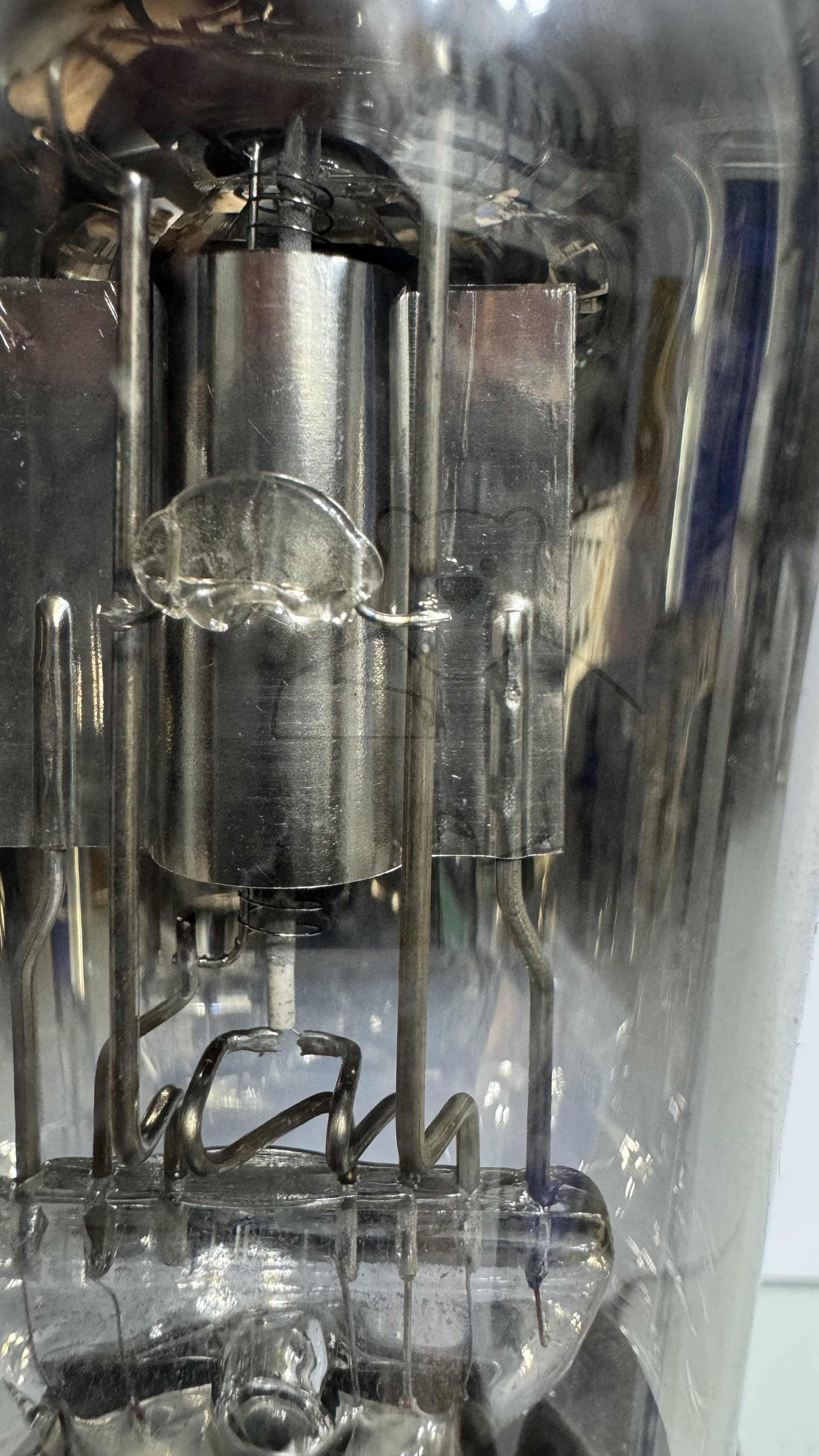 Röhre REN804 #6002 Bild 2