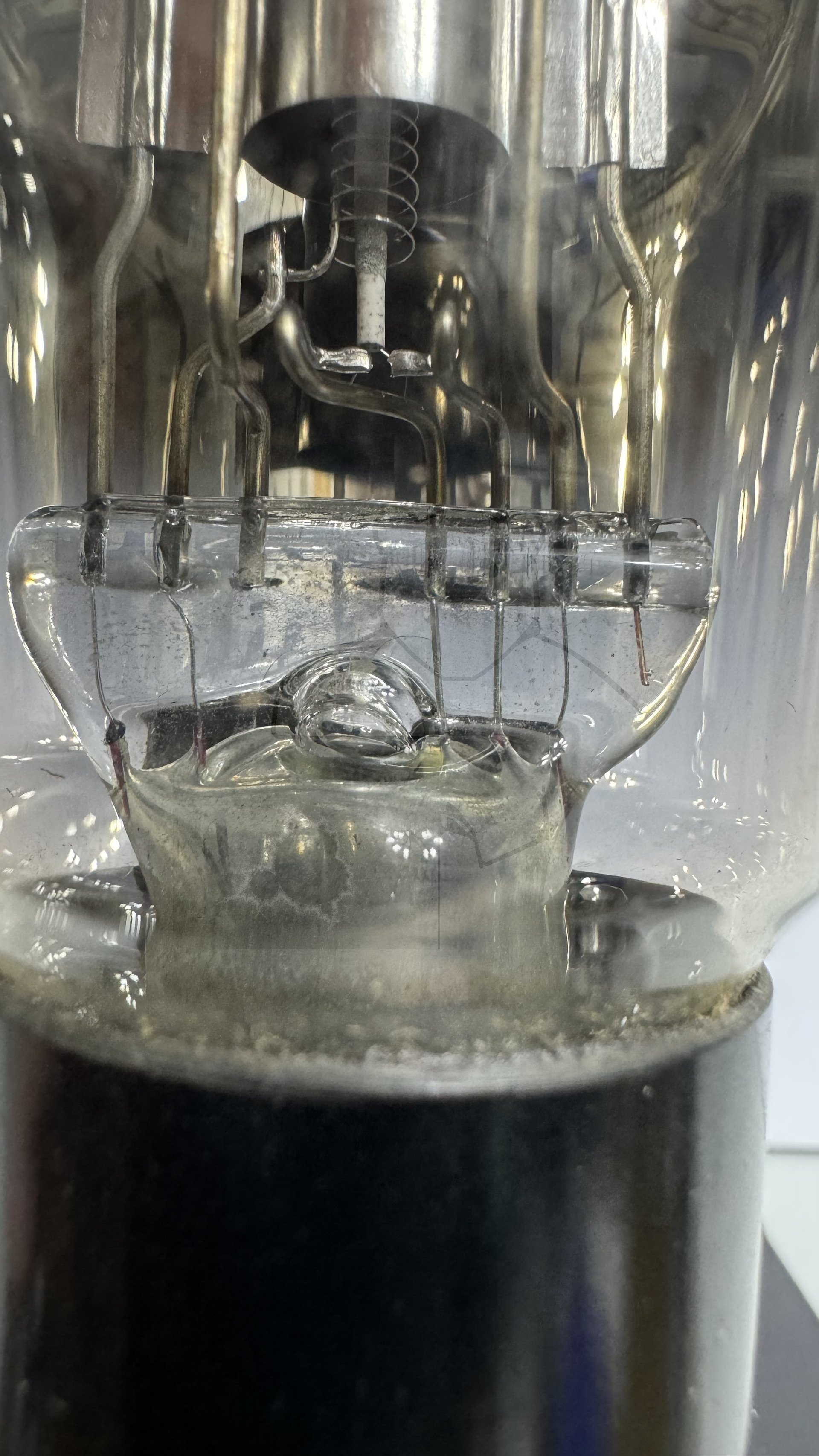 Röhre REN804 #6002 Bild 3