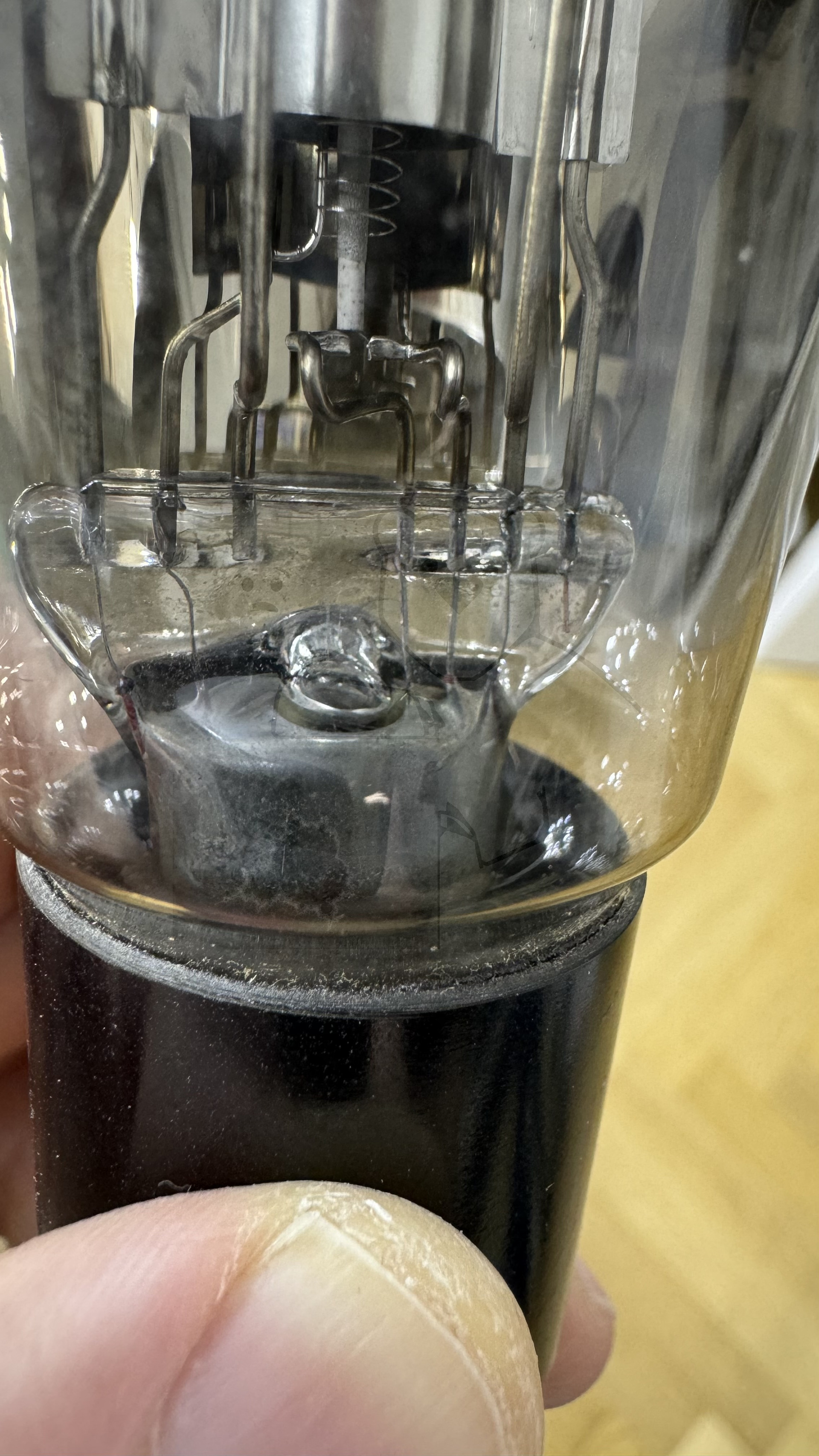 Röhre REN804 #6002 Bild 7