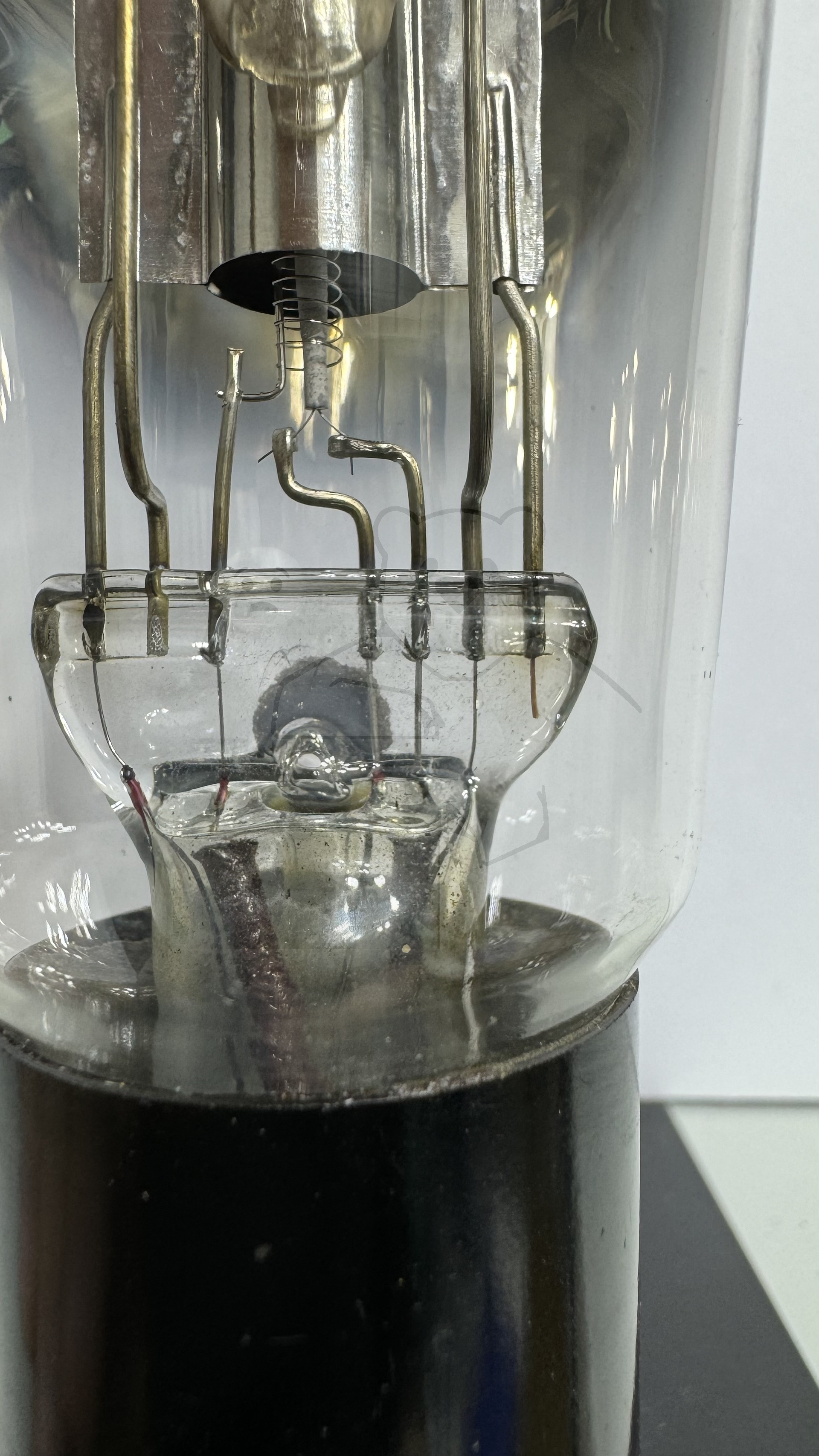 Röhre REN804 #6730 Bild 4