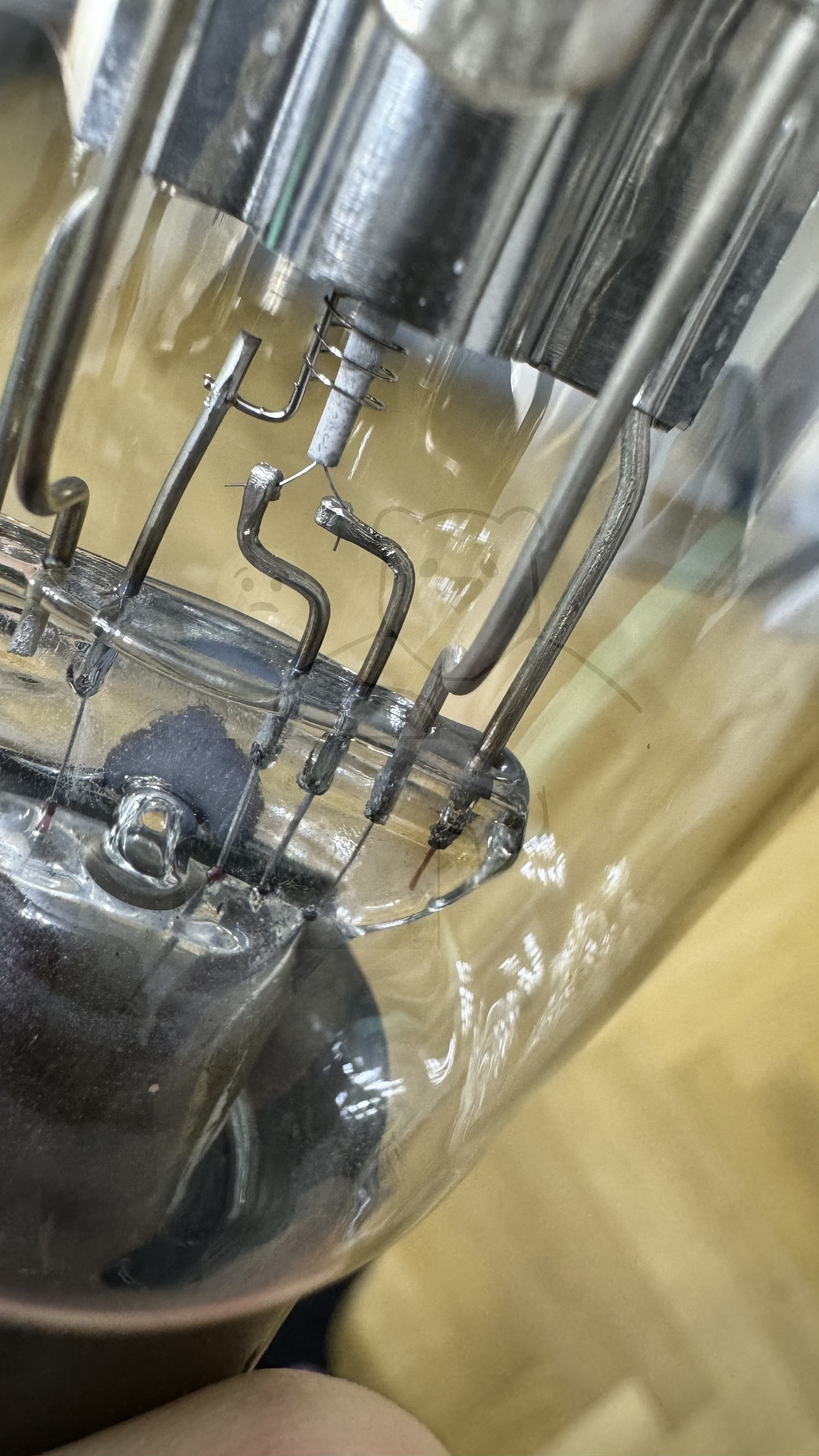 Röhre REN804 #6730 Bild 6