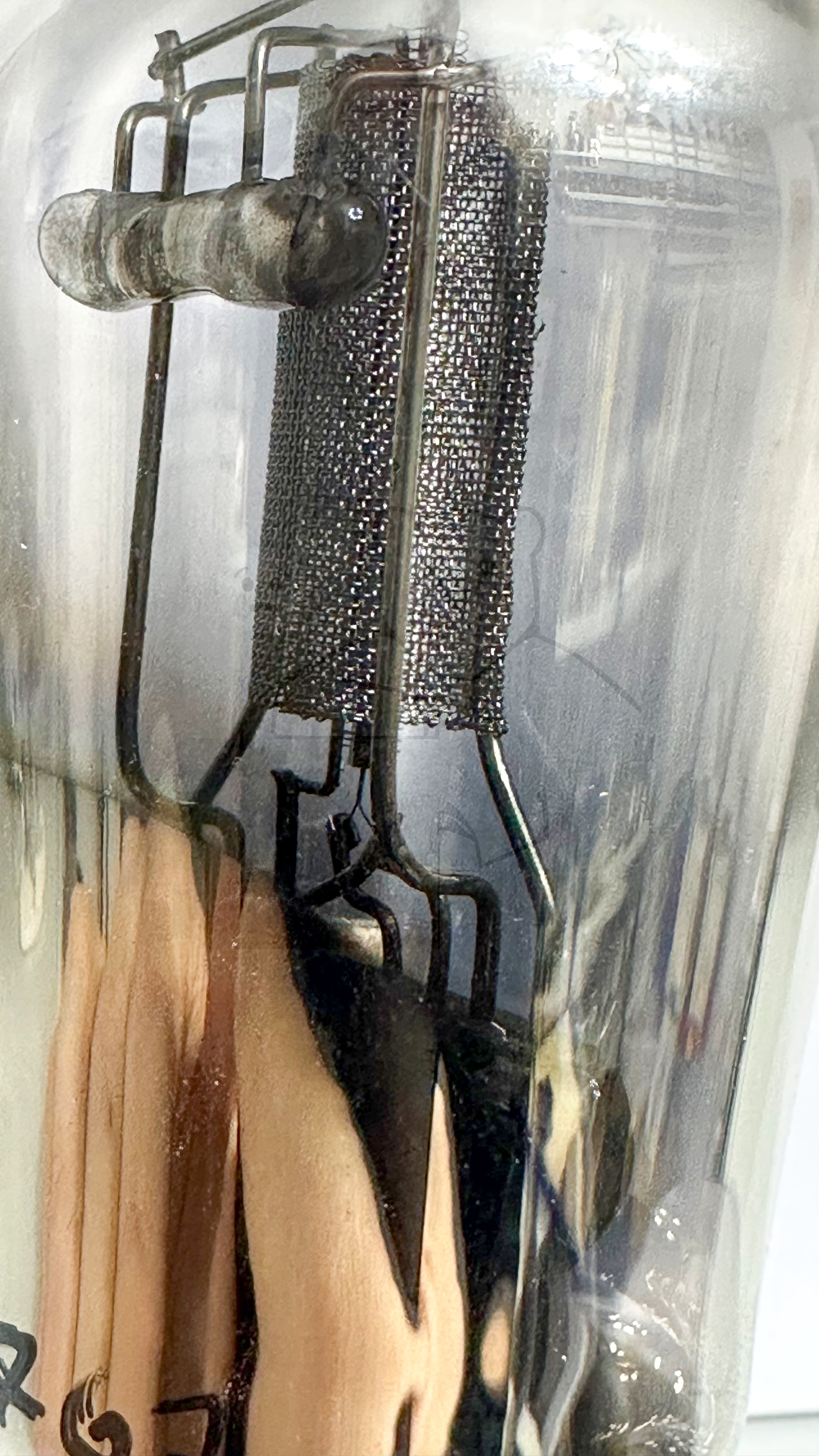 Röhre REN904 #3767 Bild 2