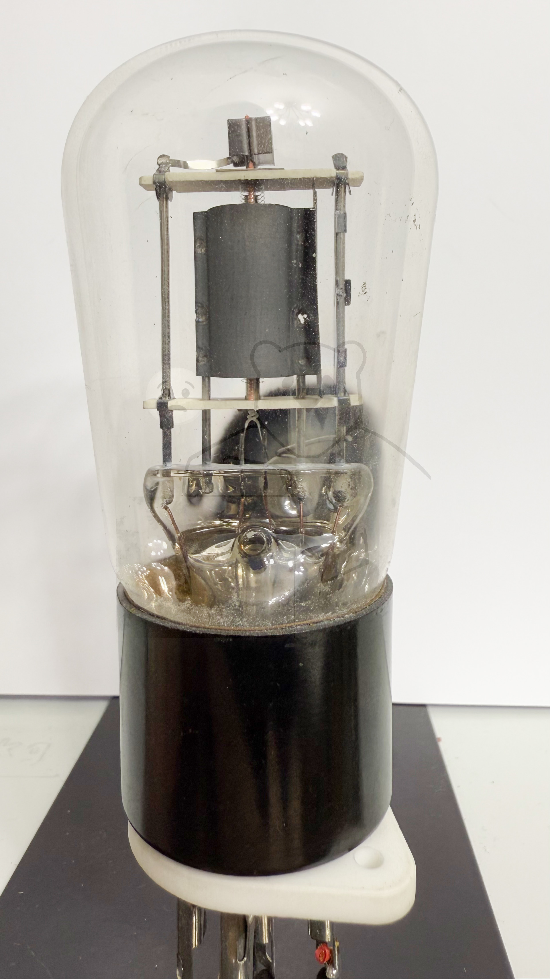 Röhre REN904 Spez F #3766 Bild 1