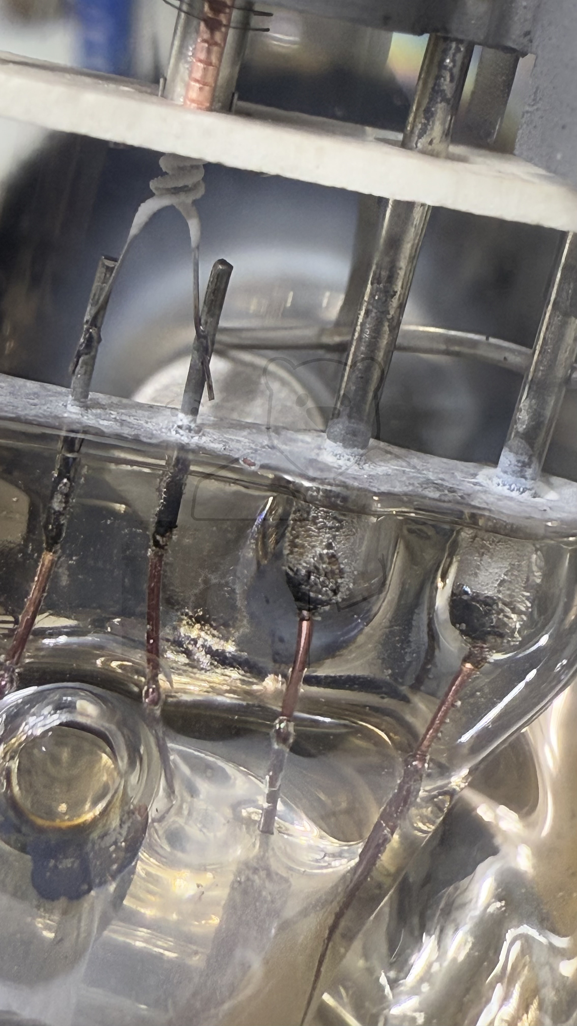 Röhre REN904 Spez F #3766 Bild 11