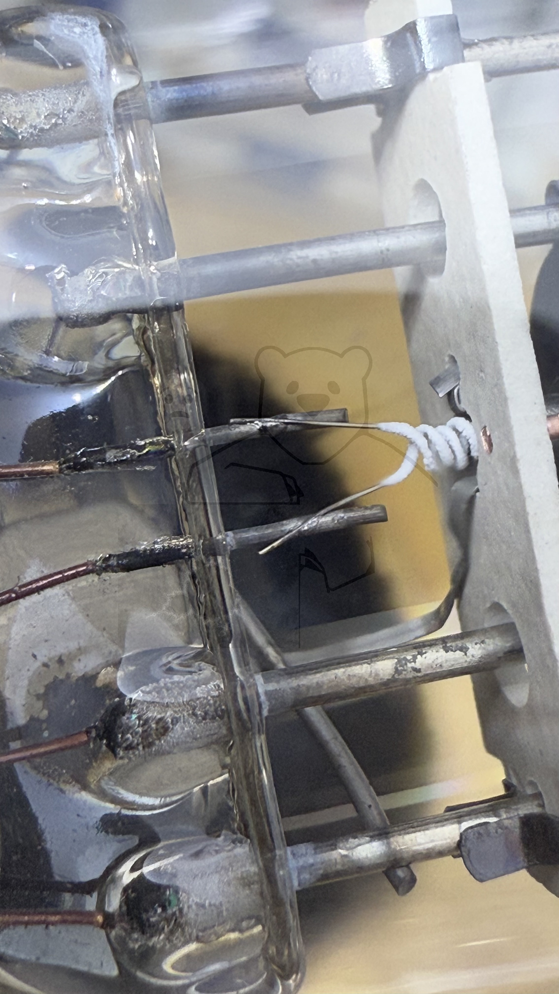 Röhre REN904 Spez F #3766 Bild 12