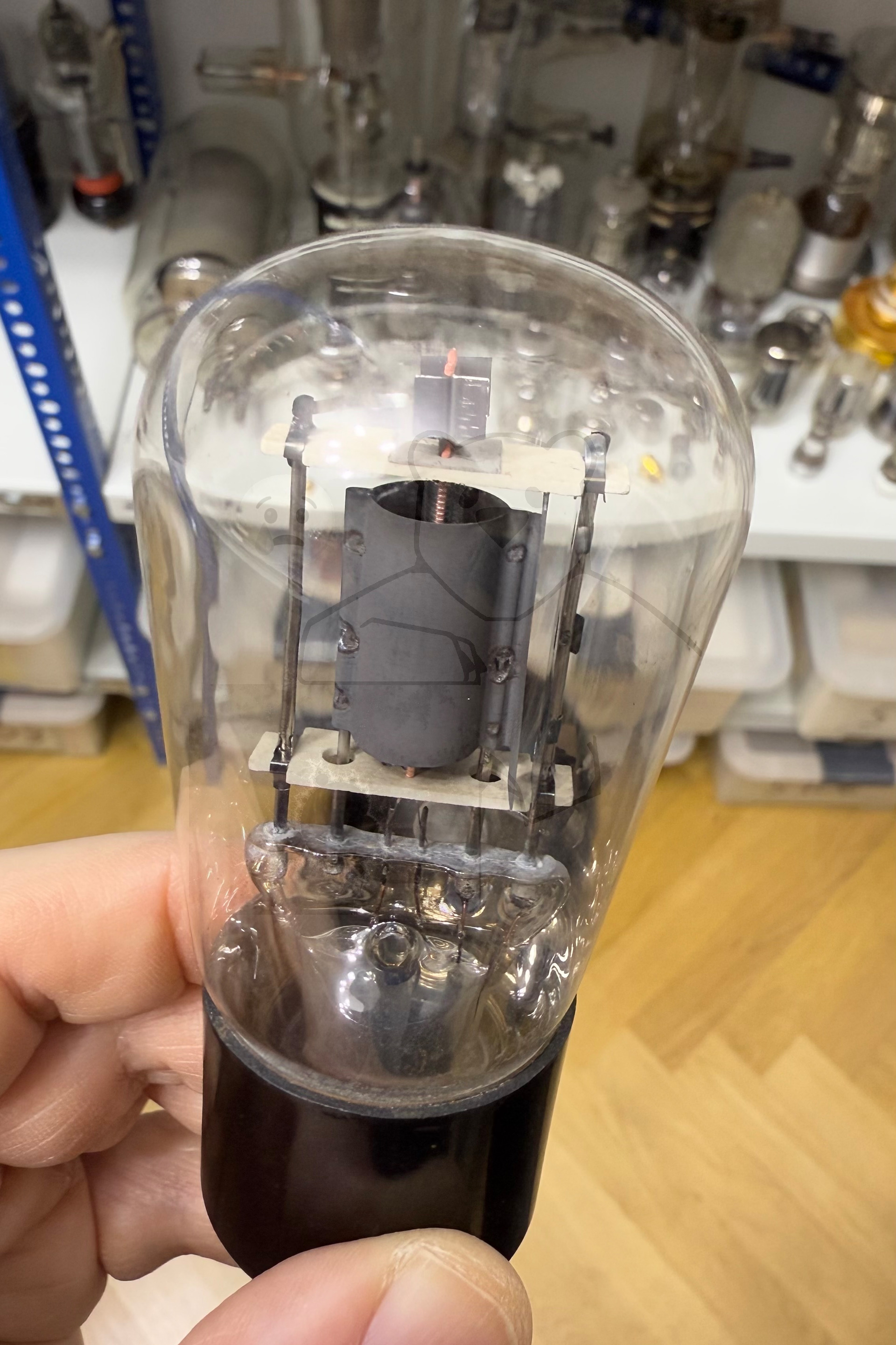 Röhre REN904 Spez F #3766 Bild 18