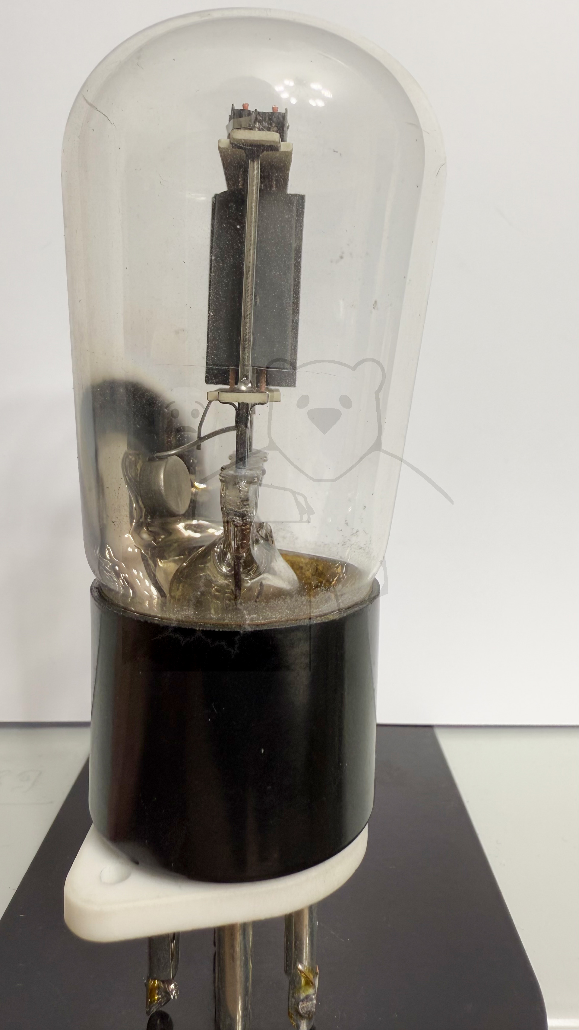 Röhre REN904 Spez F #3766 Bild 2