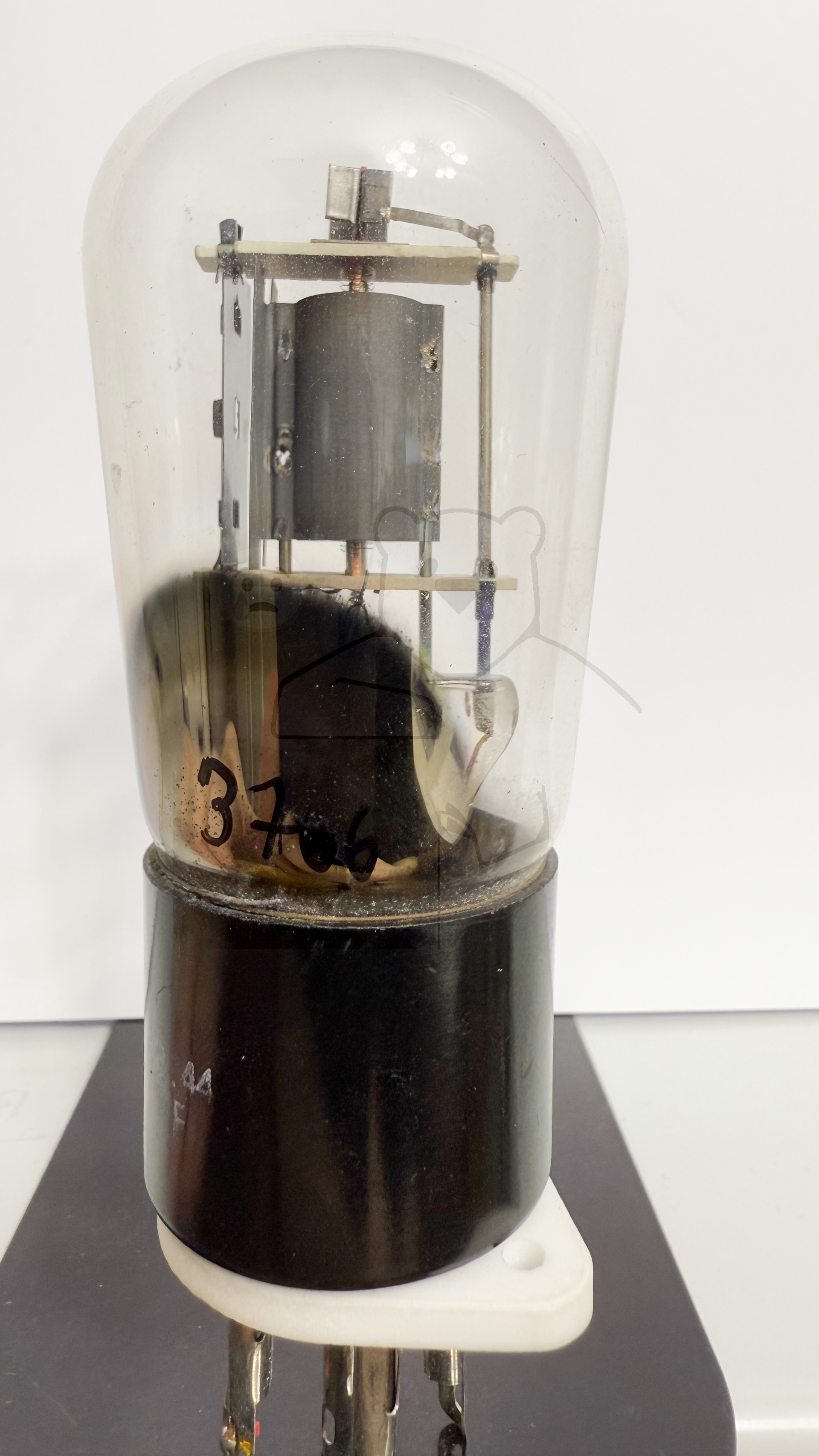 Röhre REN904 Spez F #3766 Bild 3