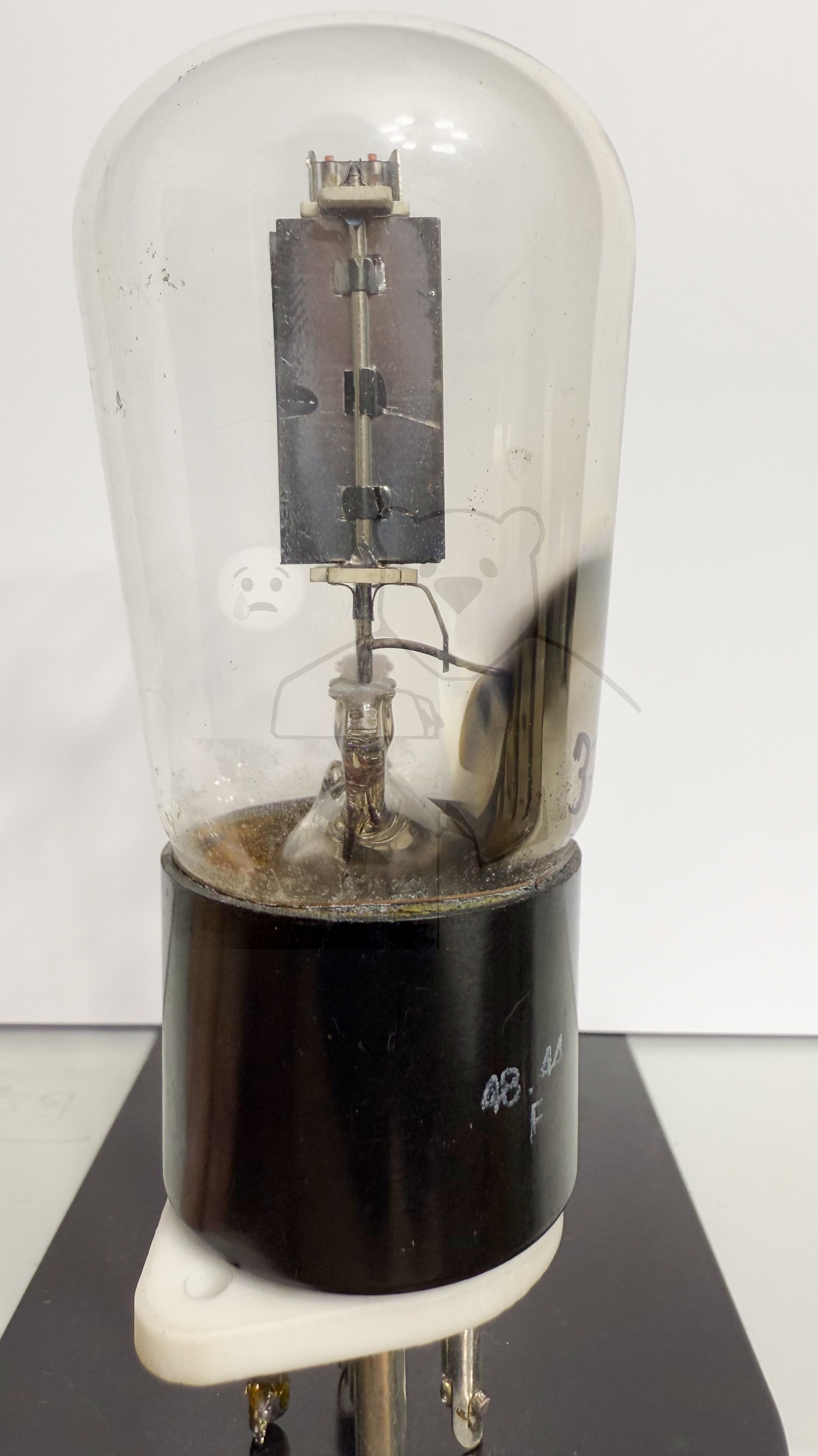 Röhre REN904 Spez F #3766 Bild 4