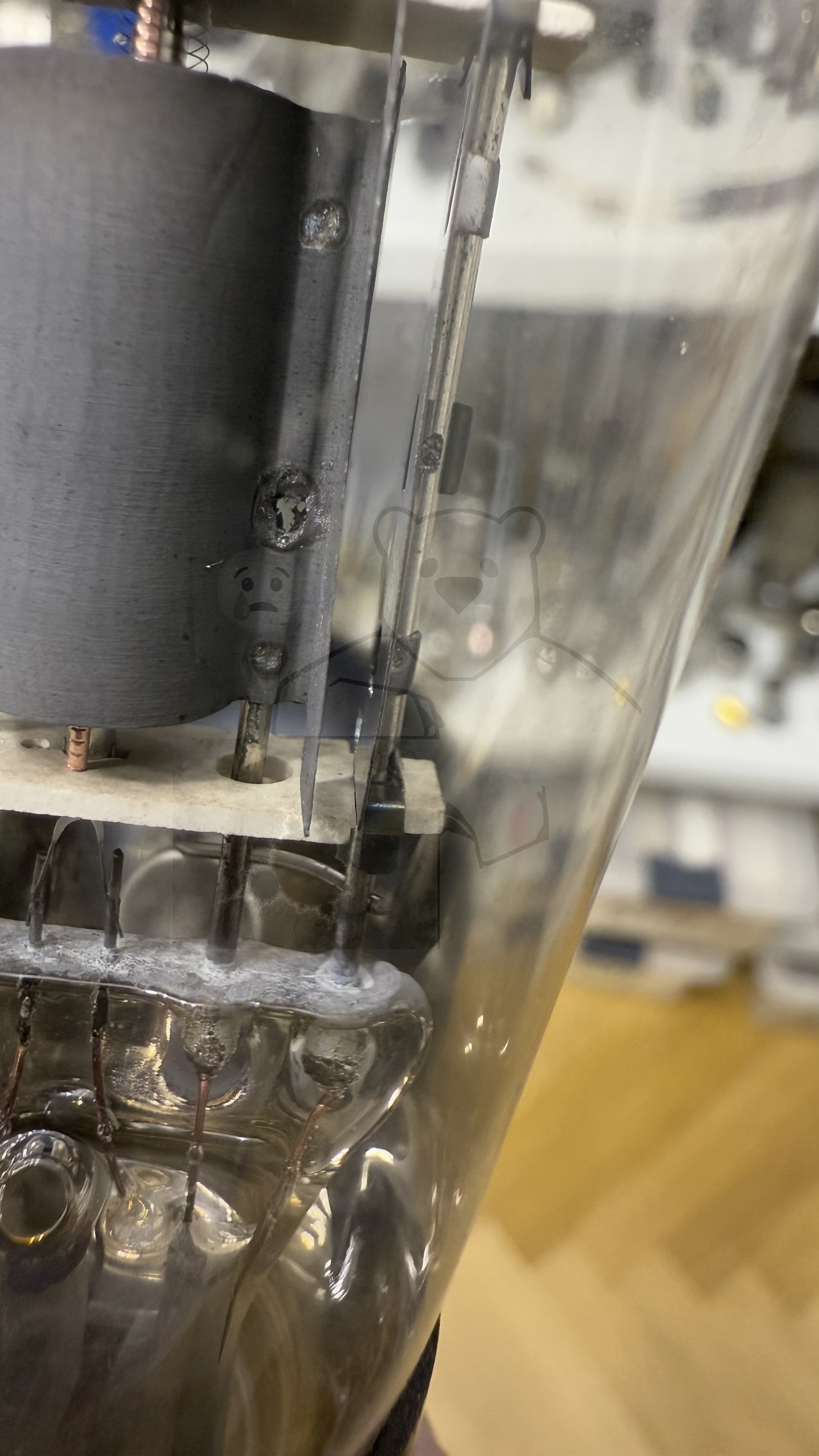 Röhre REN904 Spez F #3766 Bild 9