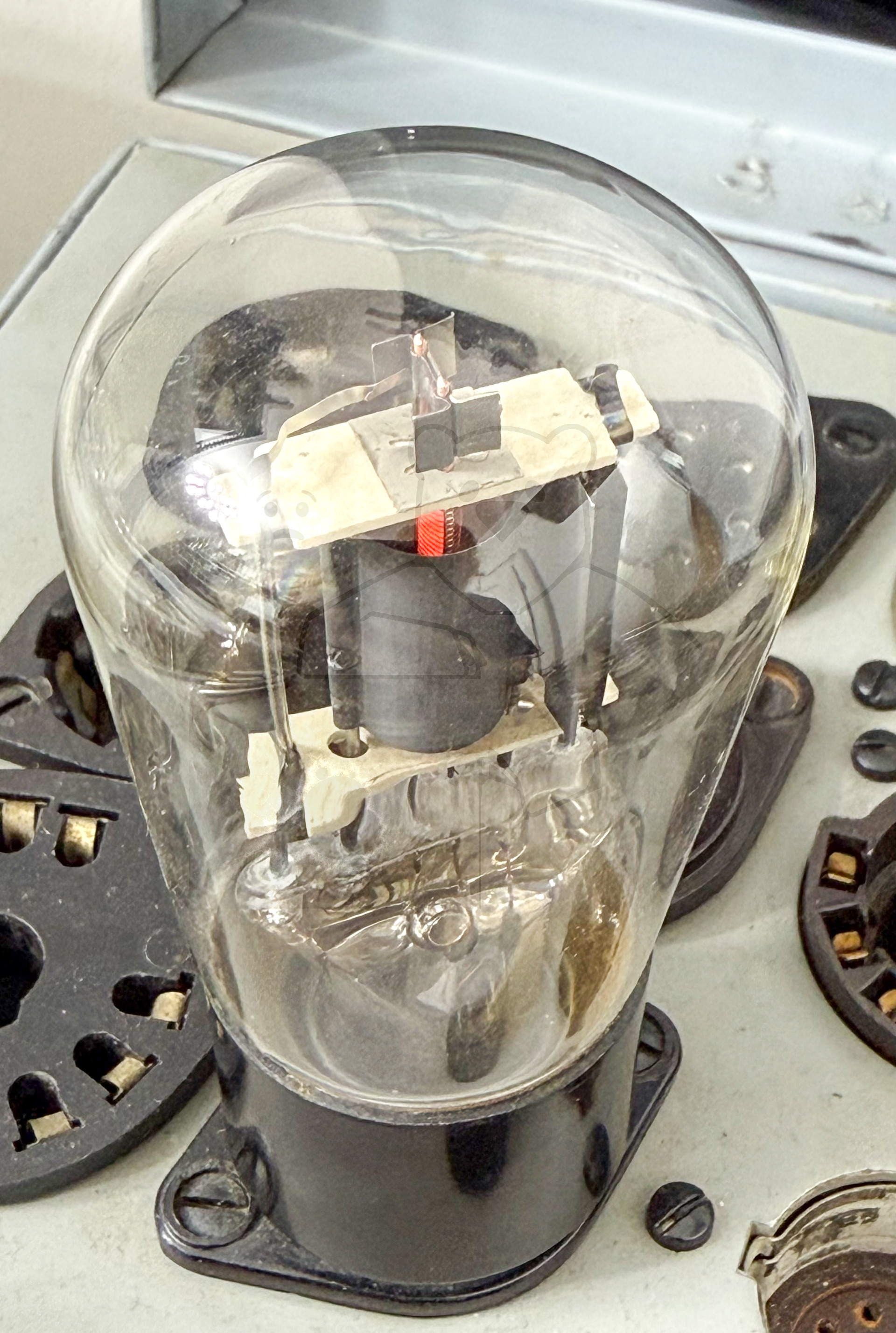 Röhre REN904 Spez F #3766 In Betrieb Bild 1