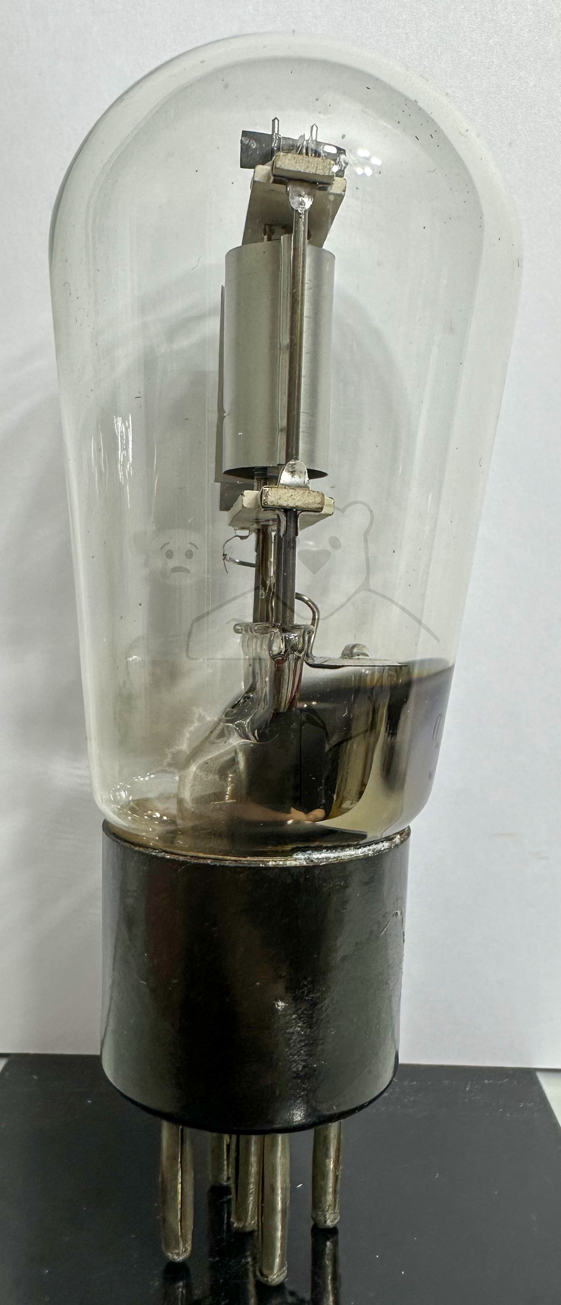 Röhre REN904 Spez F #3778 Bild 2