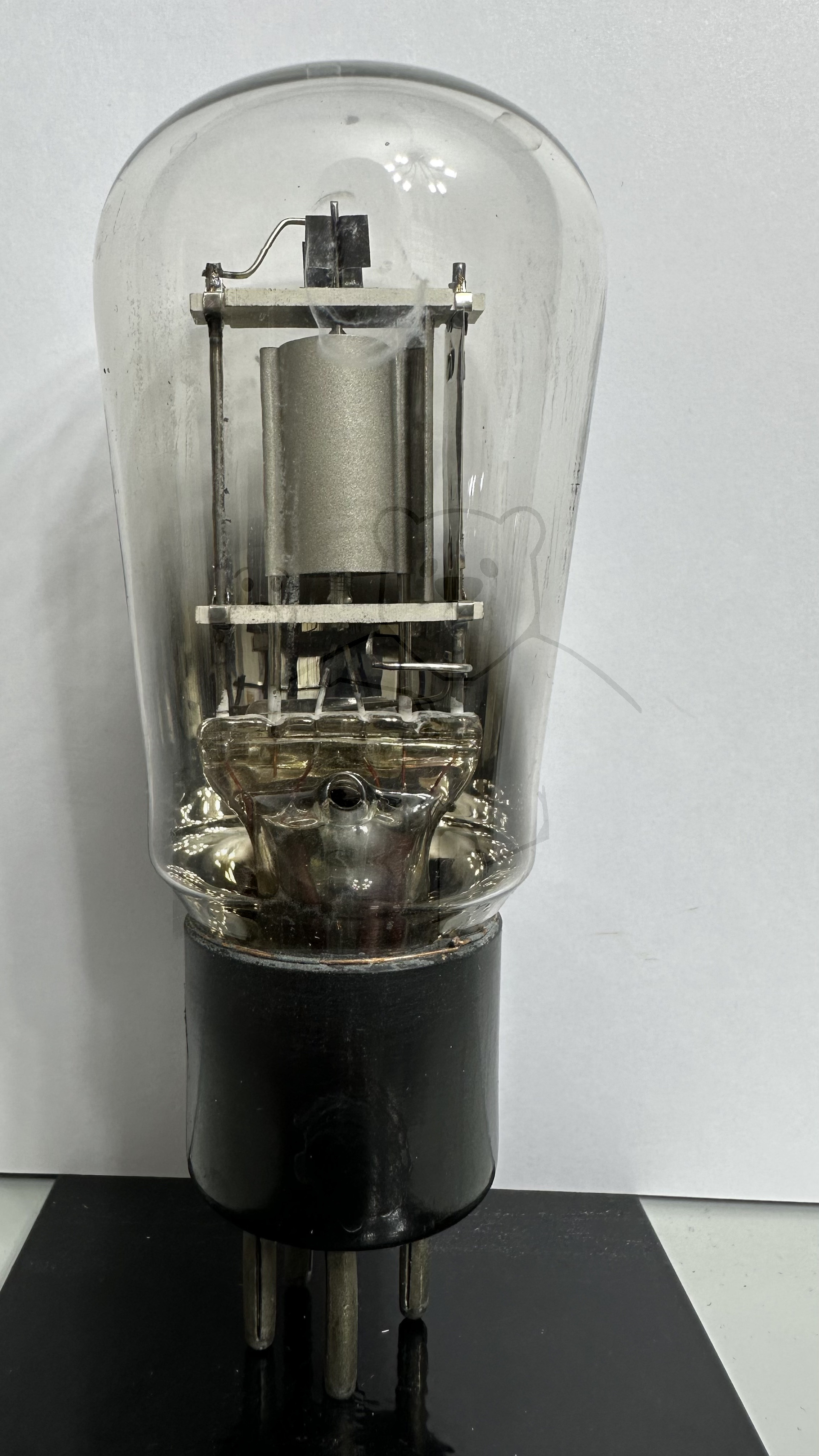 Röhre REN904 Spez F #3780 Bild 1