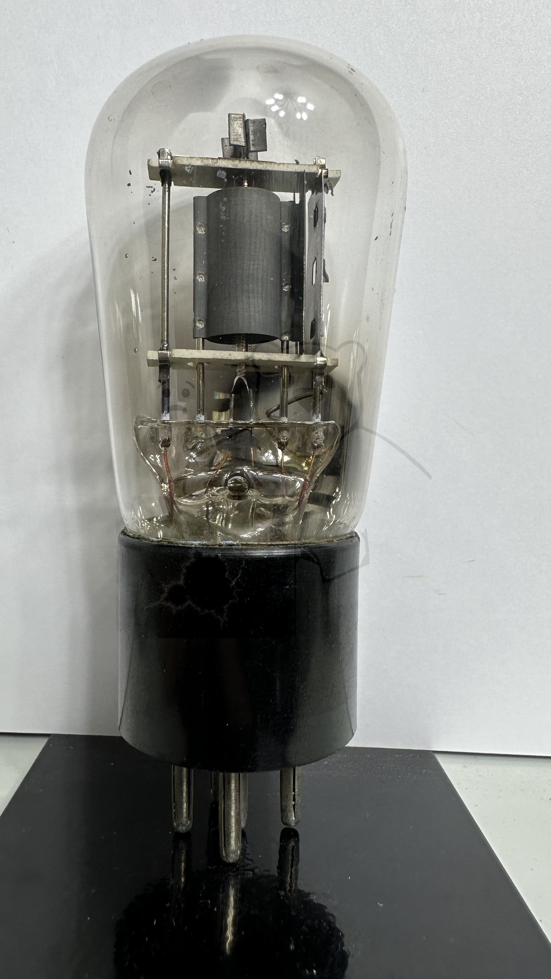 Röhre REN904 Spez F #3782 Bild 1