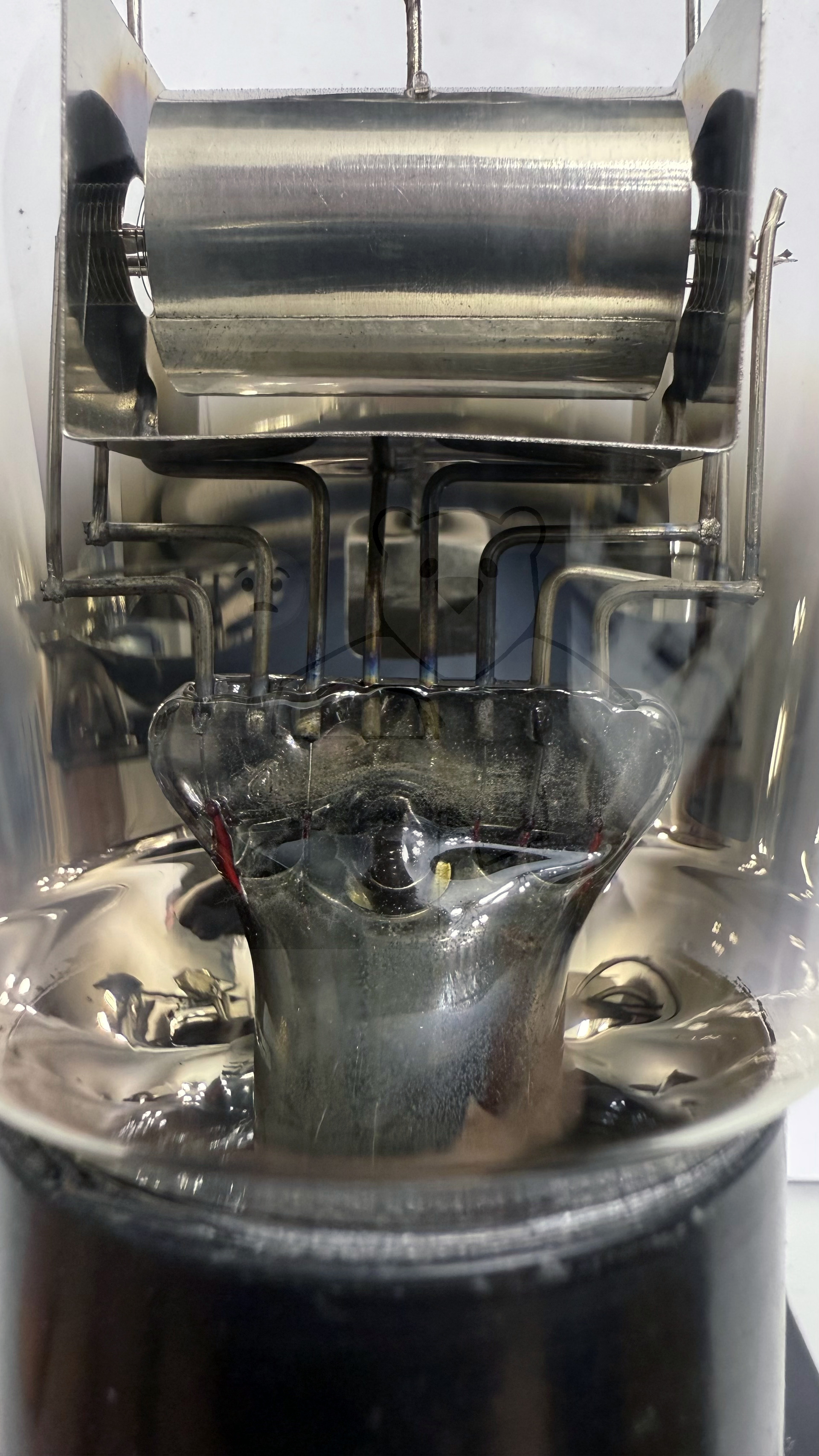 Röhre RENS1204 Alte Variante ohne Metallisierung #8494 Bild 3