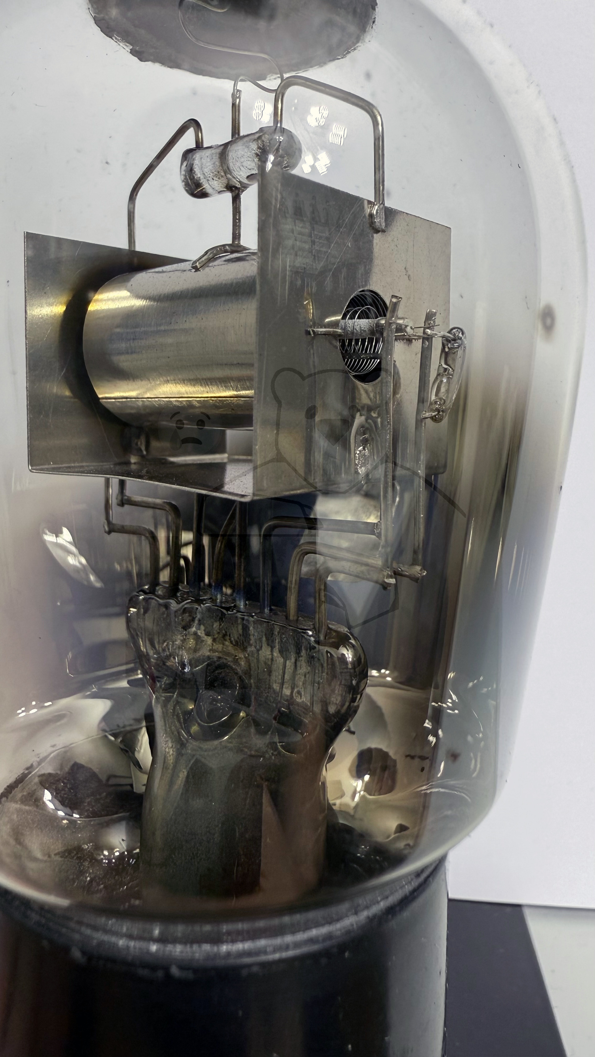 Röhre RENS1204 Alte Variante ohne Metallisierung #8494 Bild 5