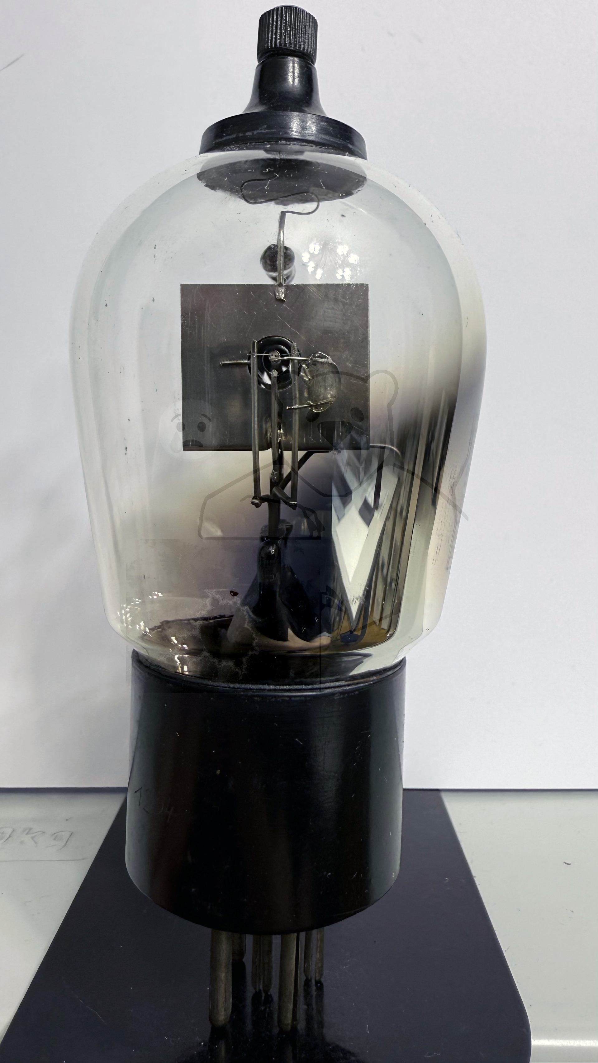 Röhre RENS1204 Alte Variante ohne Metallisierung #8494 Bild 6