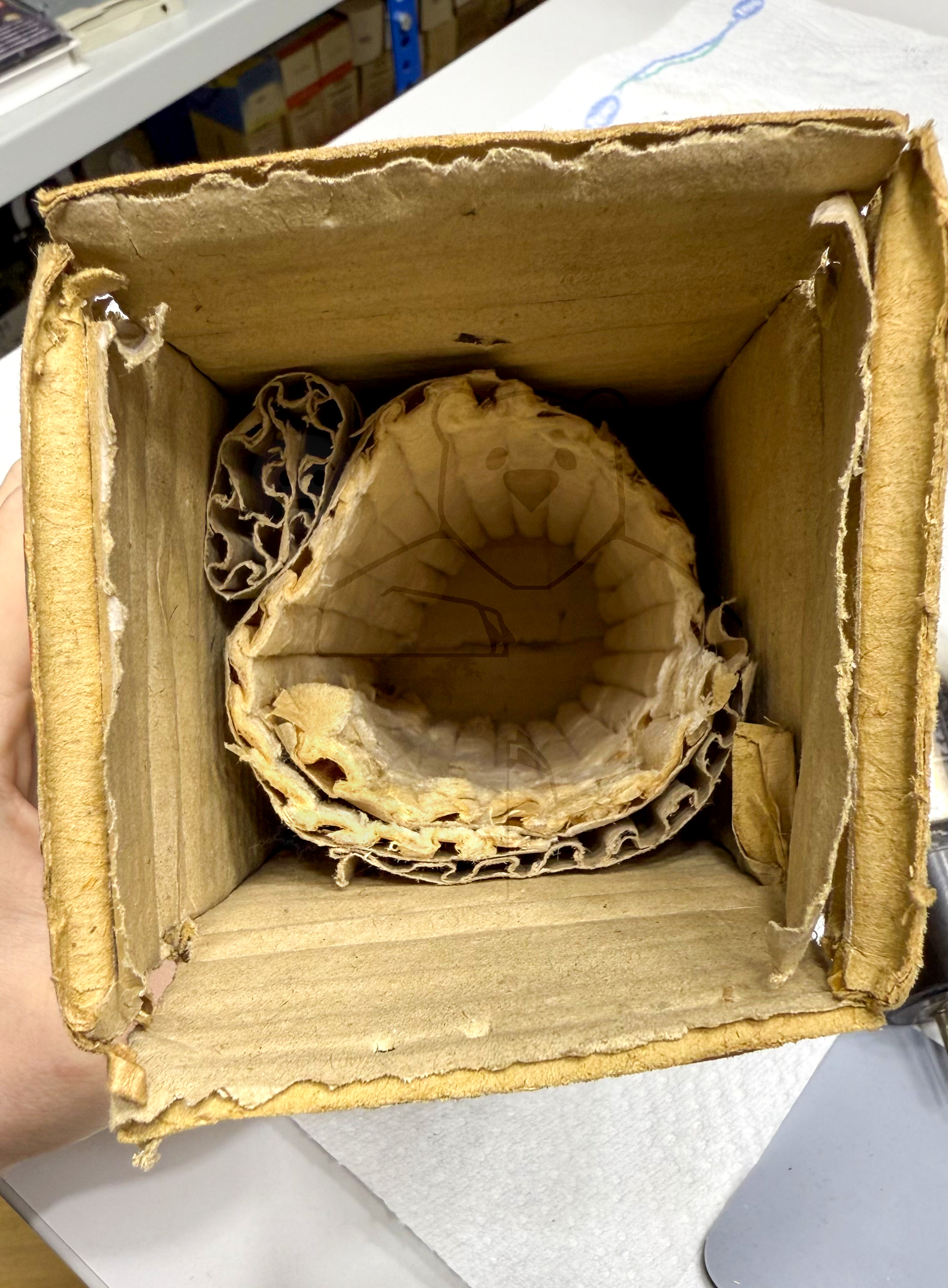 Röhre RENS1204 Alte Variante ohne Metallisierung #8494 Verpackung Bild 1