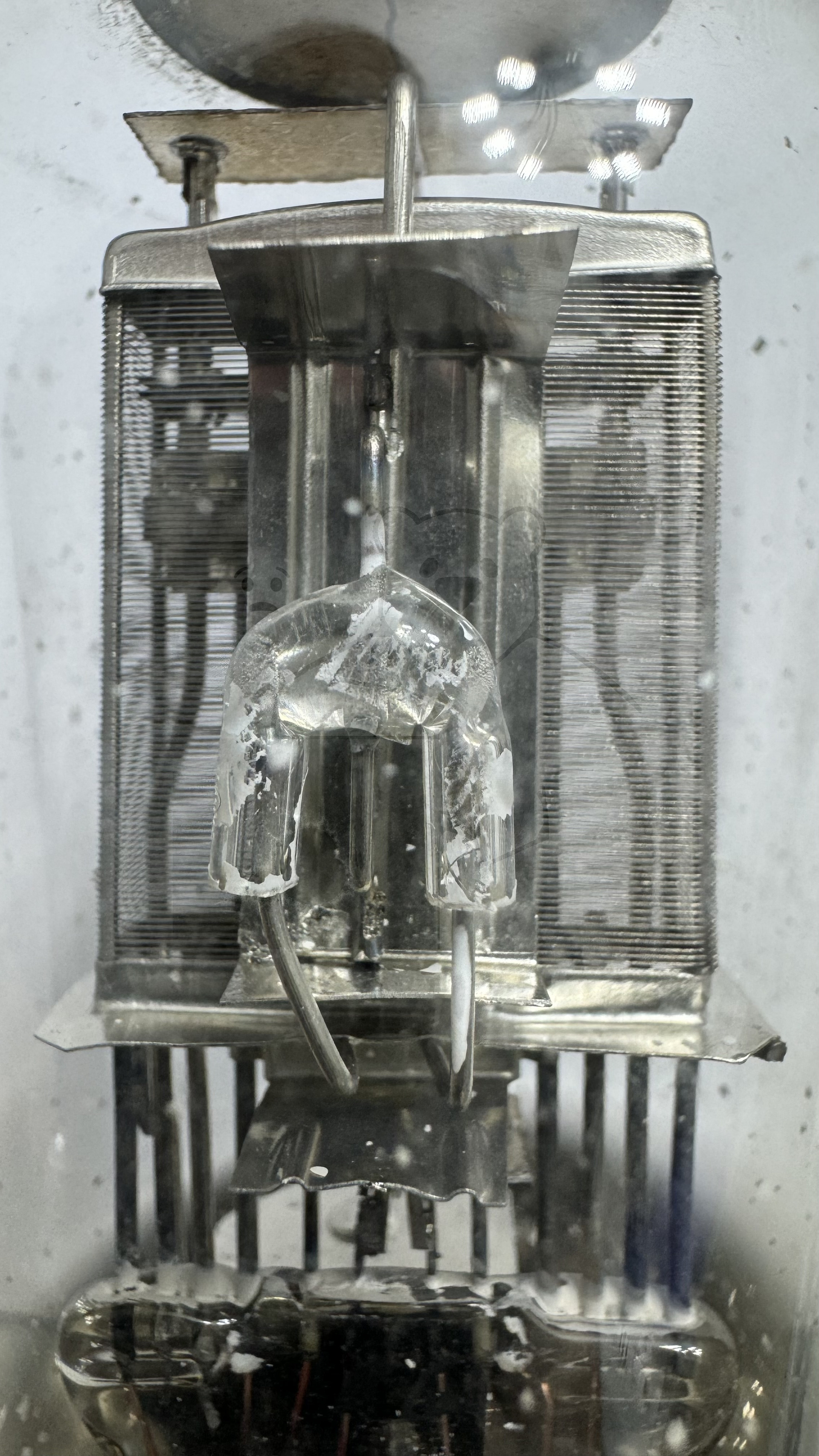 Röhre RENS1254 #7901 Bild 5