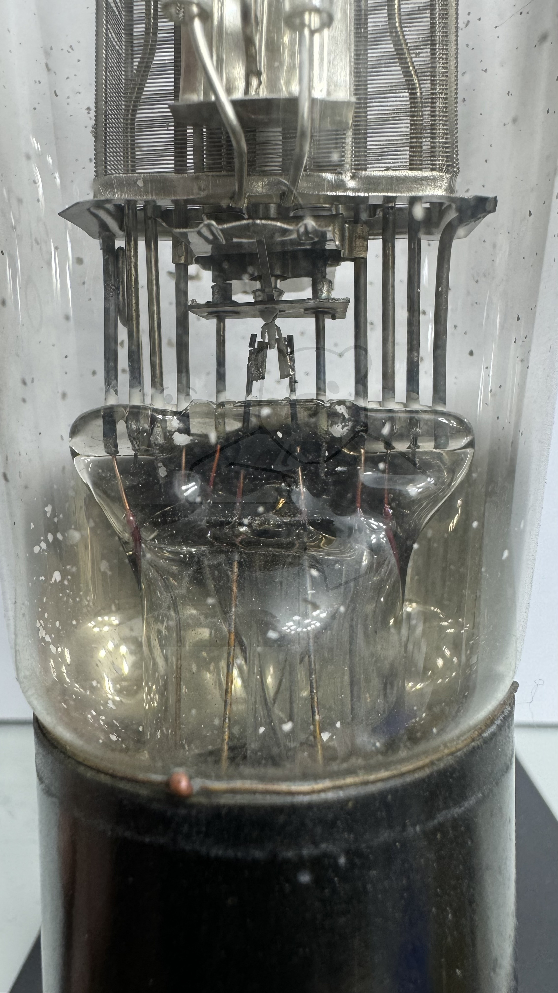 Röhre RENS1254 #7901 Bild 6