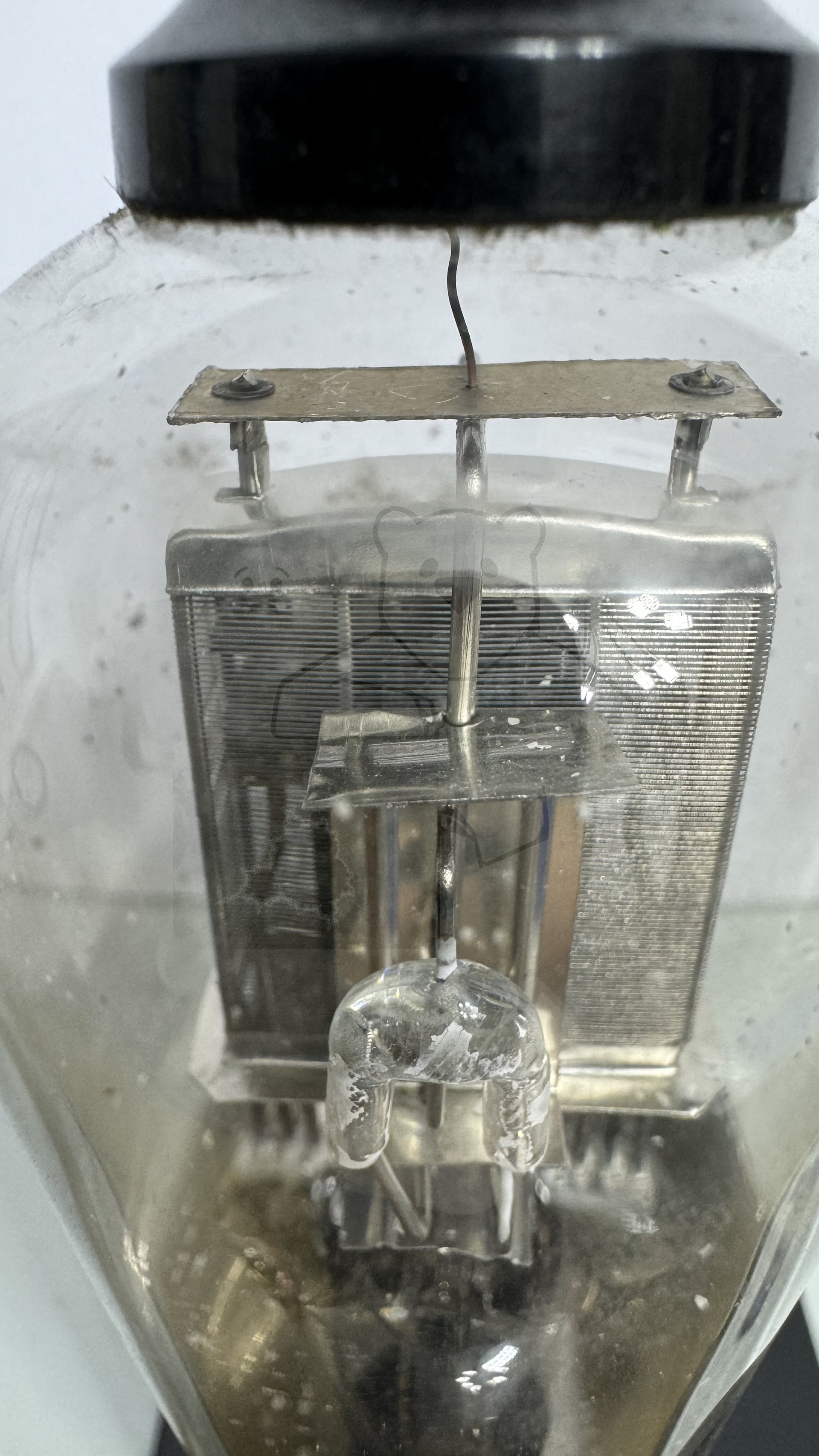 Röhre RENS1254 #7901 Bild 7